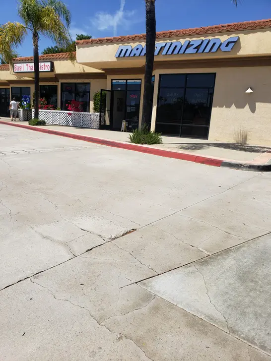 Martinizing thumbnail 5