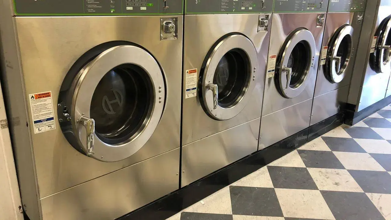 Mary Washateria thumbnail 13