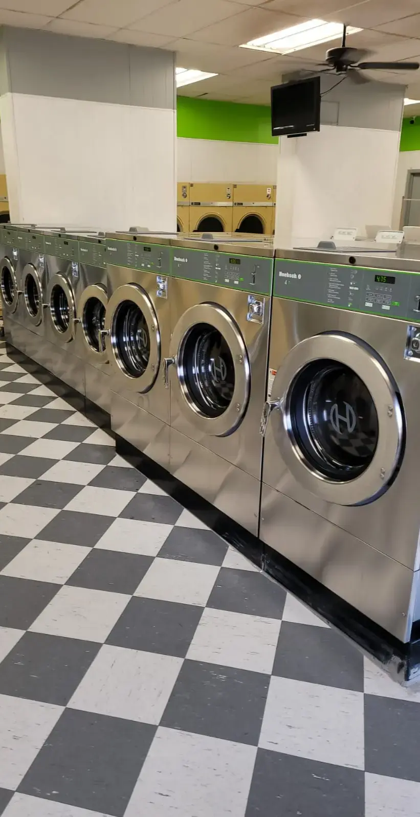 Mary Washateria - Image 11