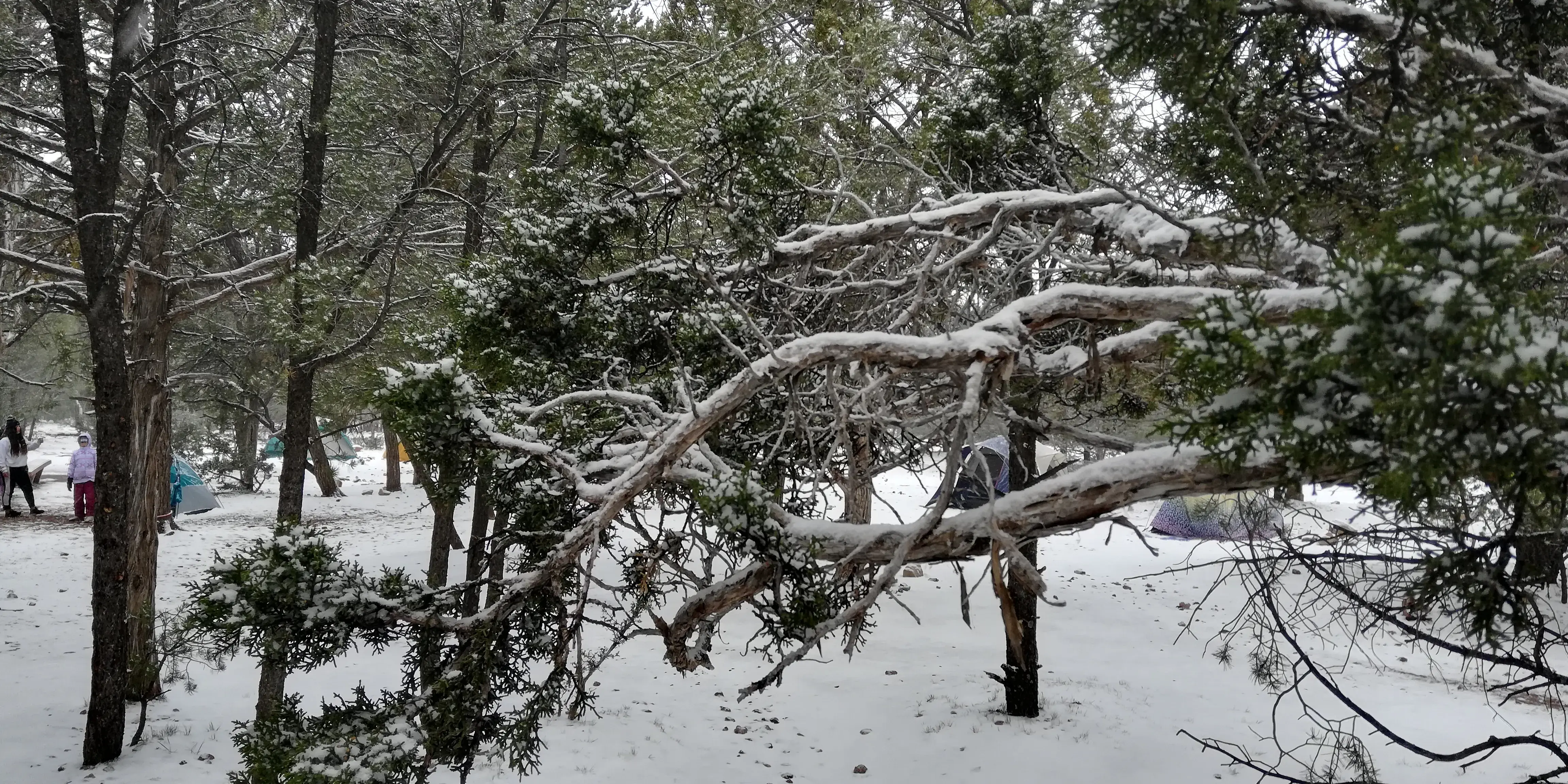 Mather Campground Showers and Laundry - Image 19