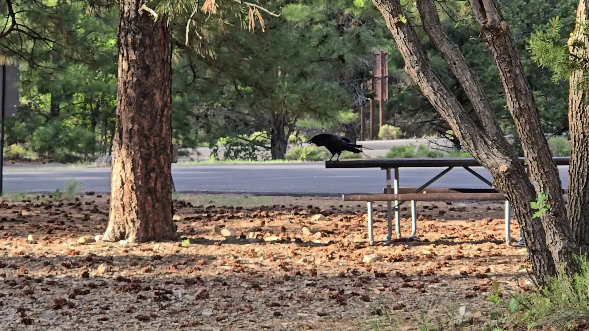 Mather Campground Showers and Laundry - Image 8