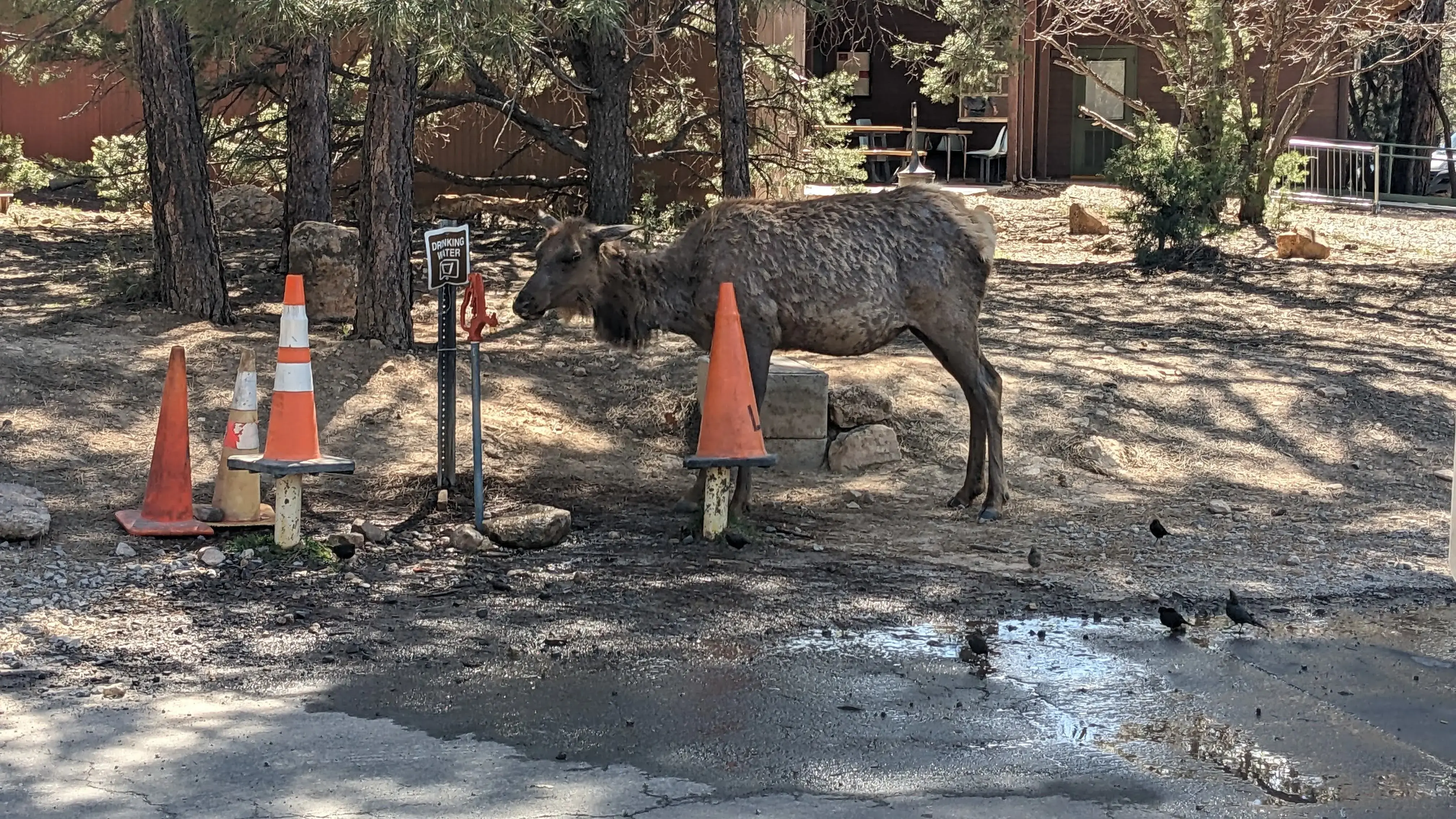 Mather Campground Showers and Laundry - Image 5