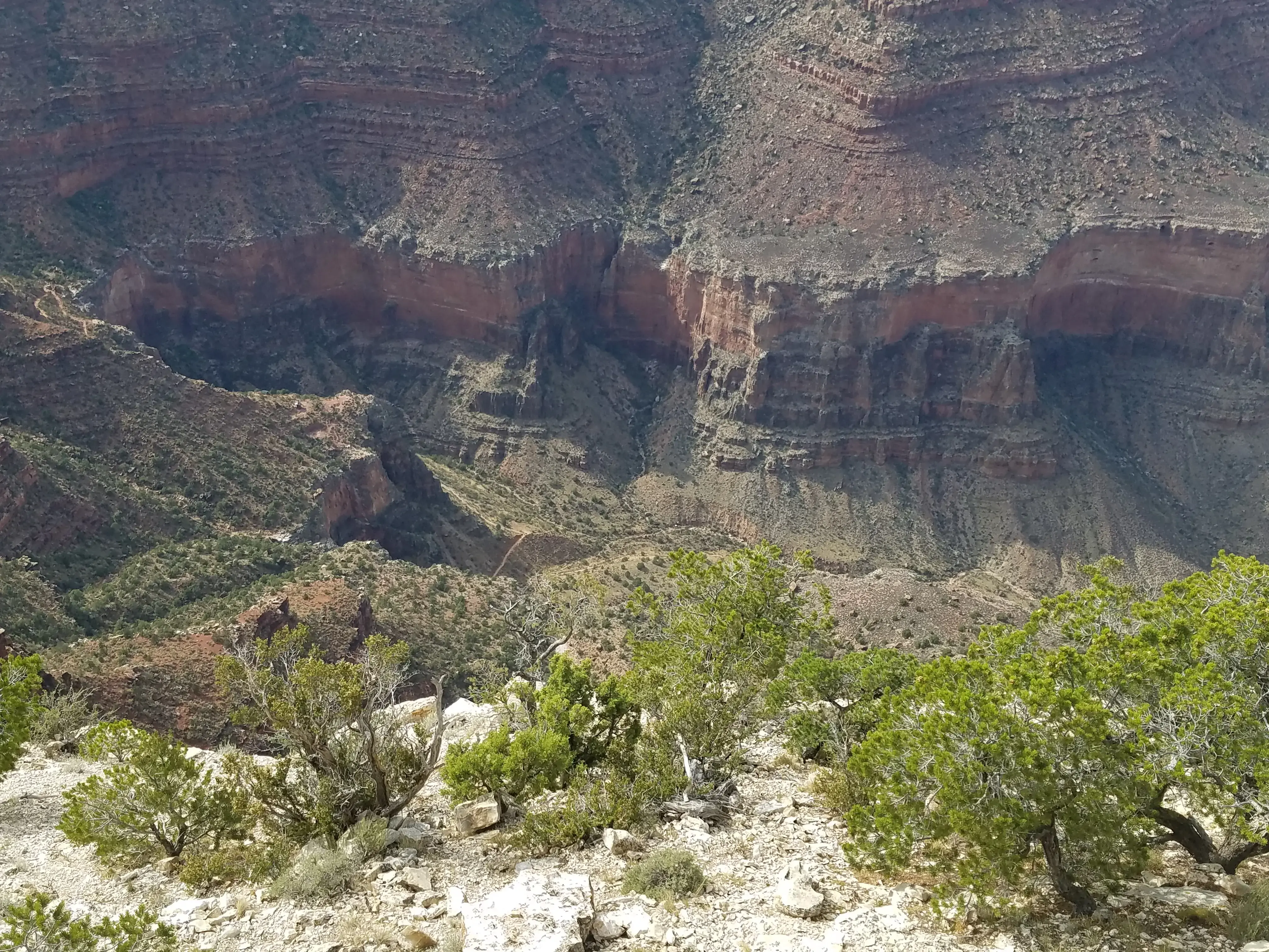 Mather Campground Showers and Laundry thumbnail 20