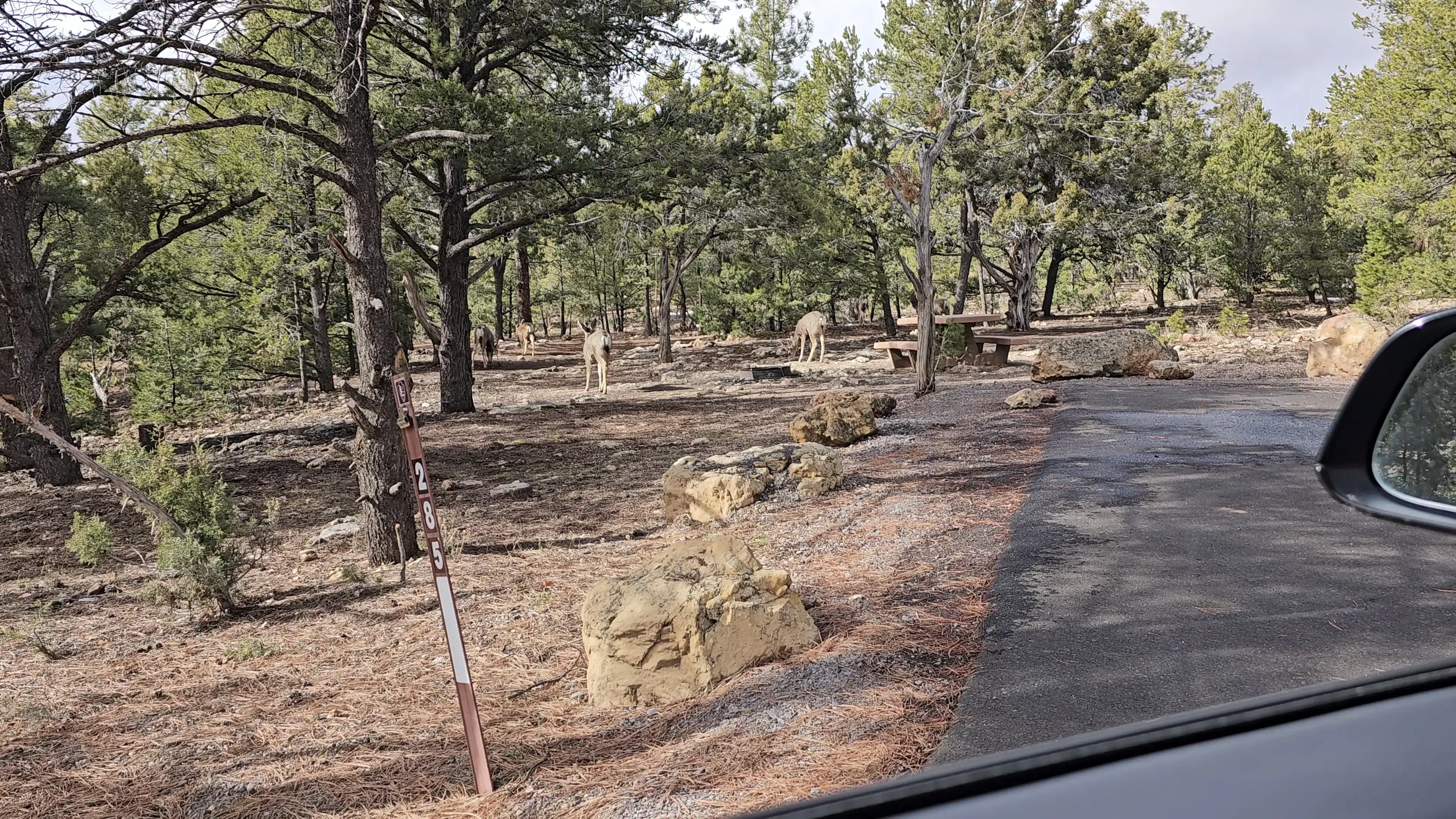 Mather Campground Showers and Laundry - Image 2