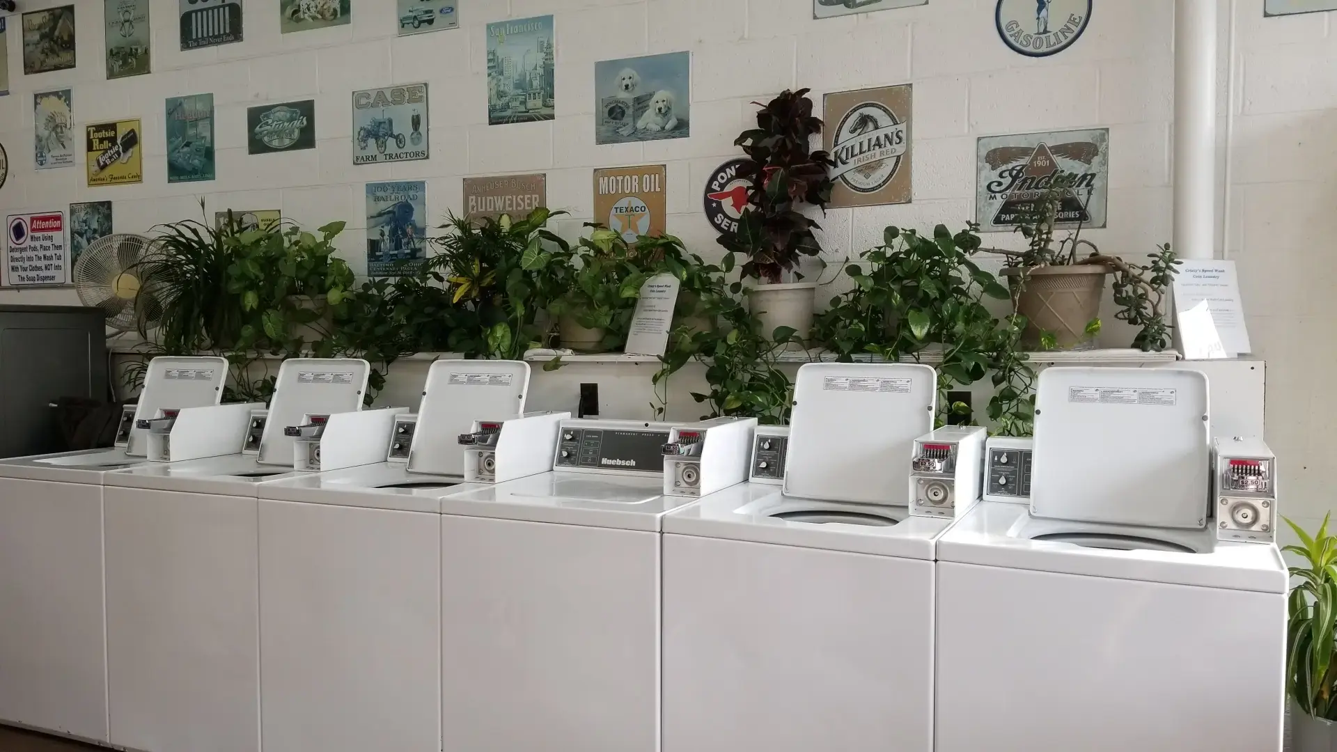 mClean Laundry - Image 15