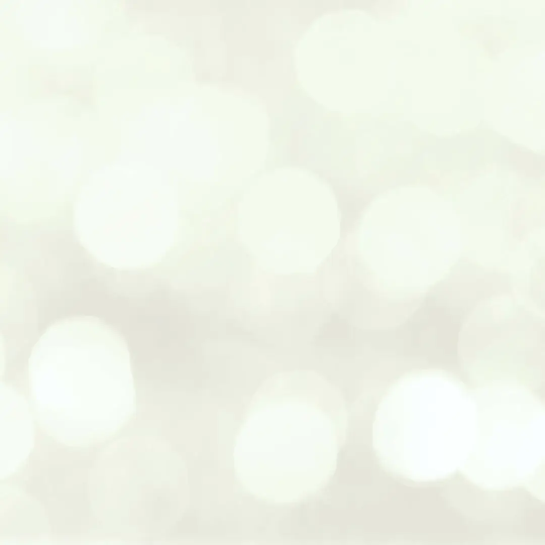 Melanie's Cleaners & Alterations - Image 6