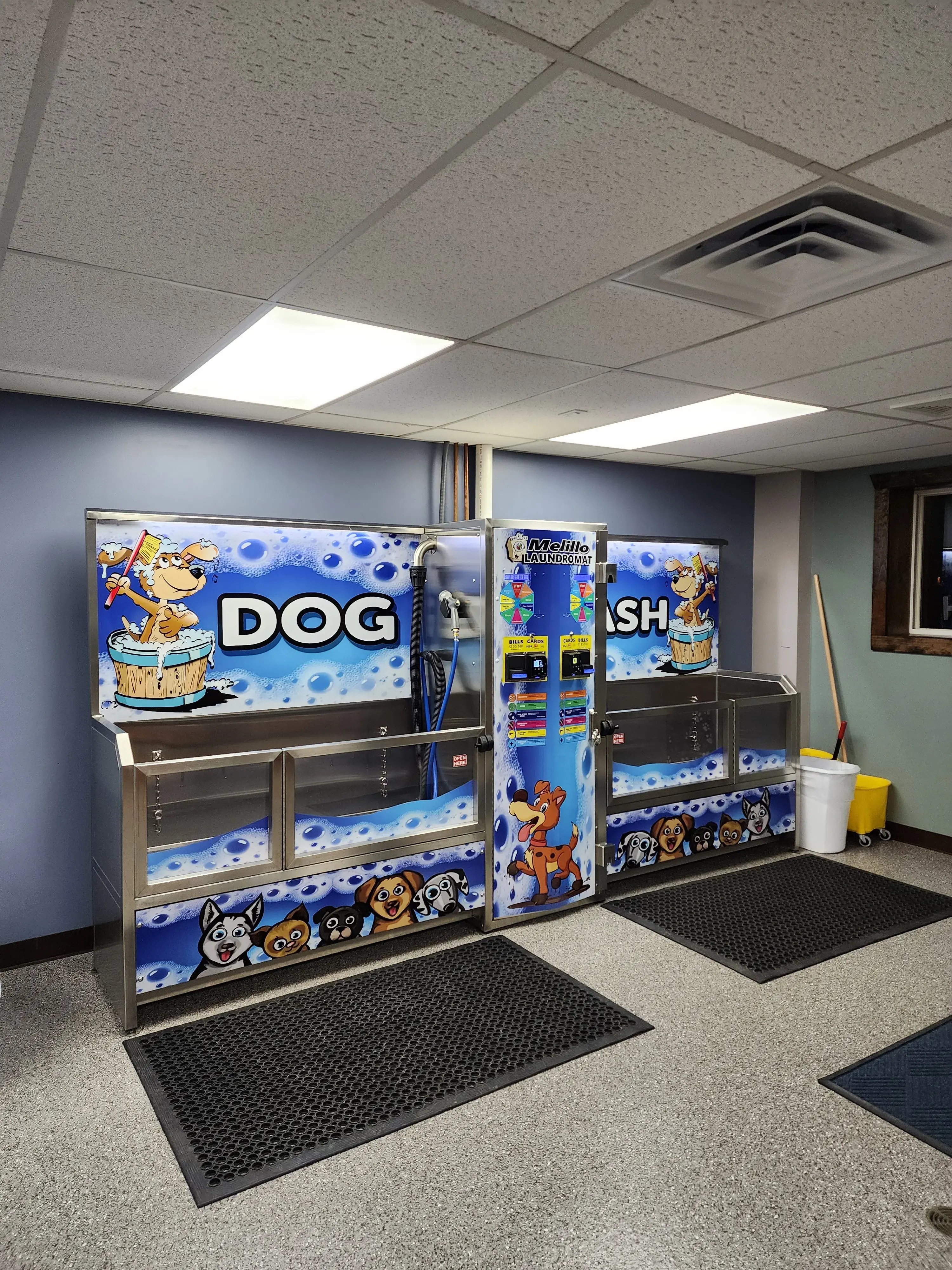 Melillo Coin Laundry and Dog Wash thumbnail 1