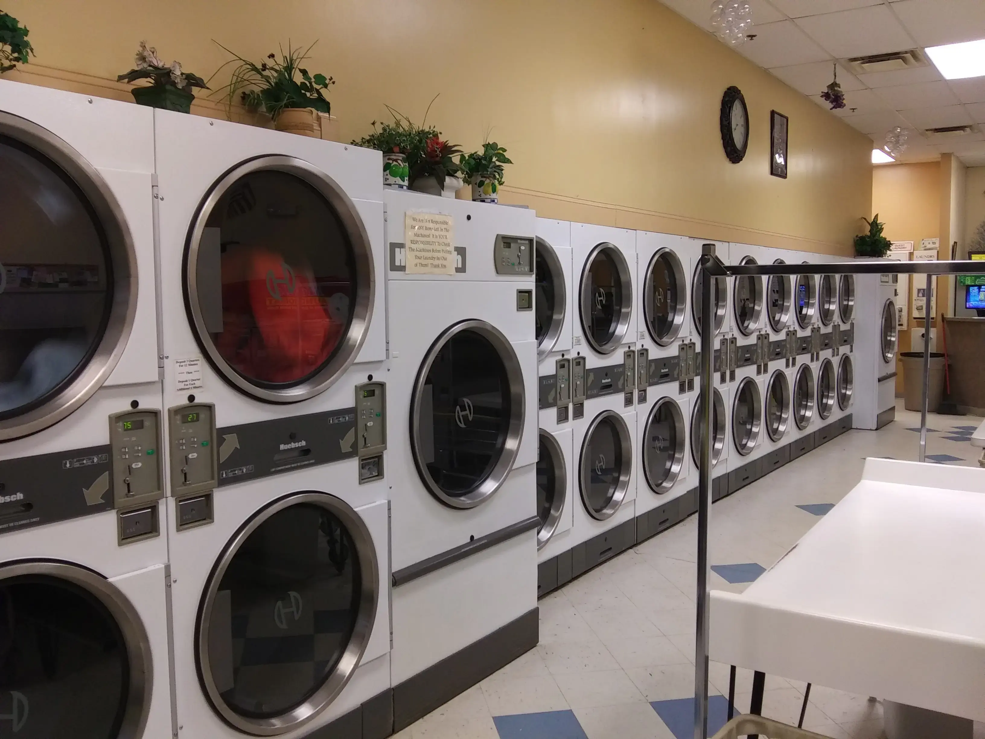 Melillo Coin Laundry thumbnail 9