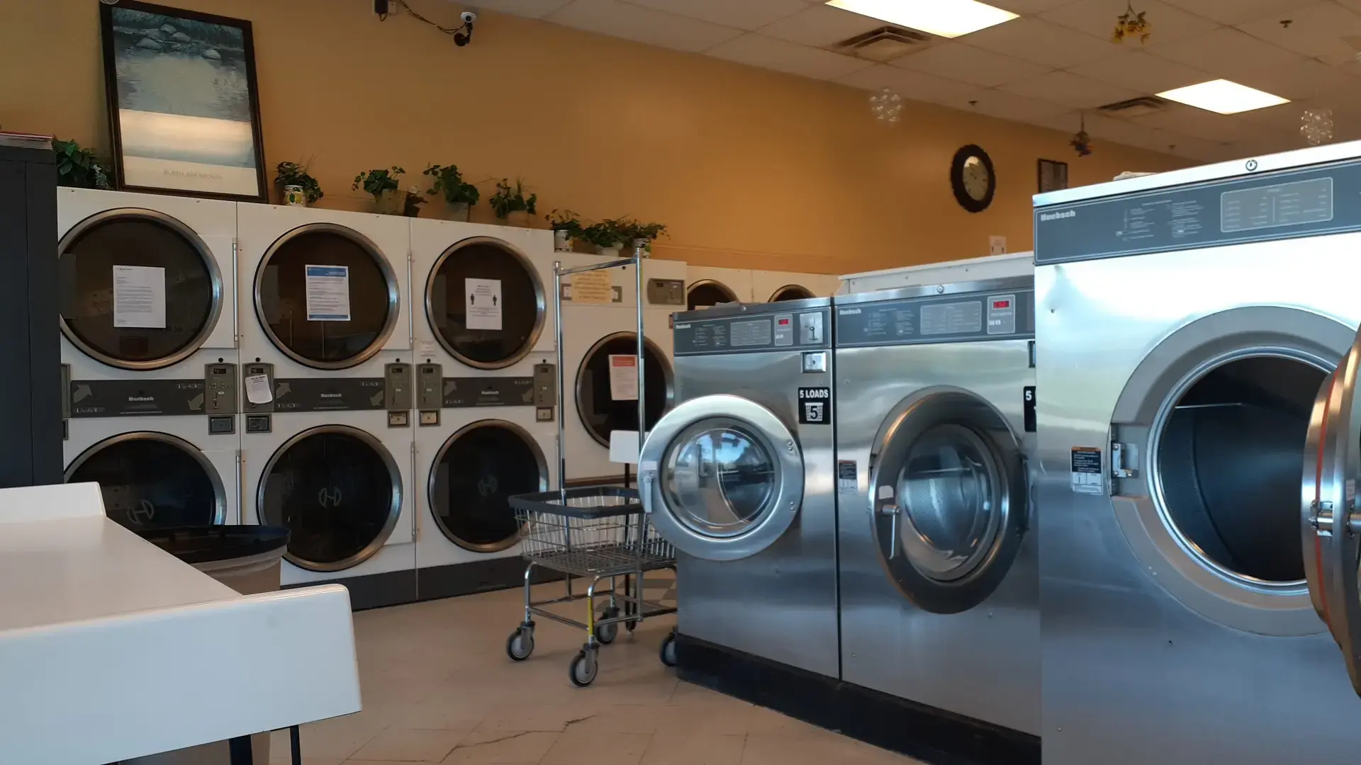 Melillo Coin Laundry location