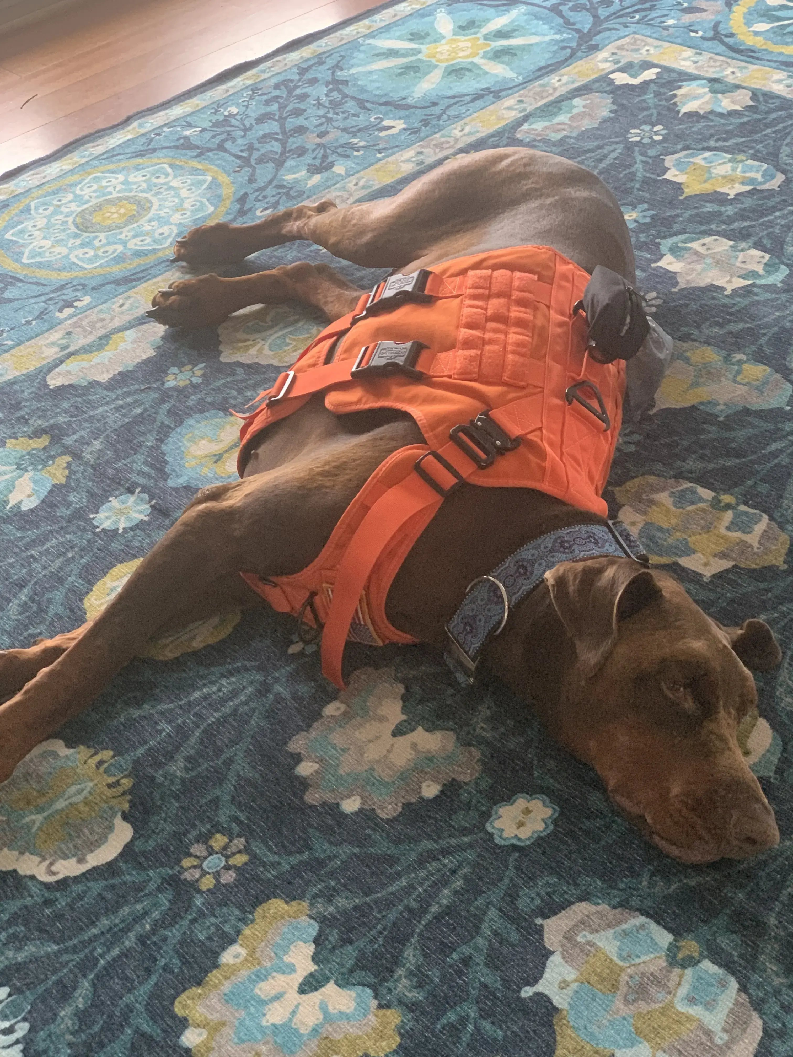 Melissa's Coin Laundry - Image 11