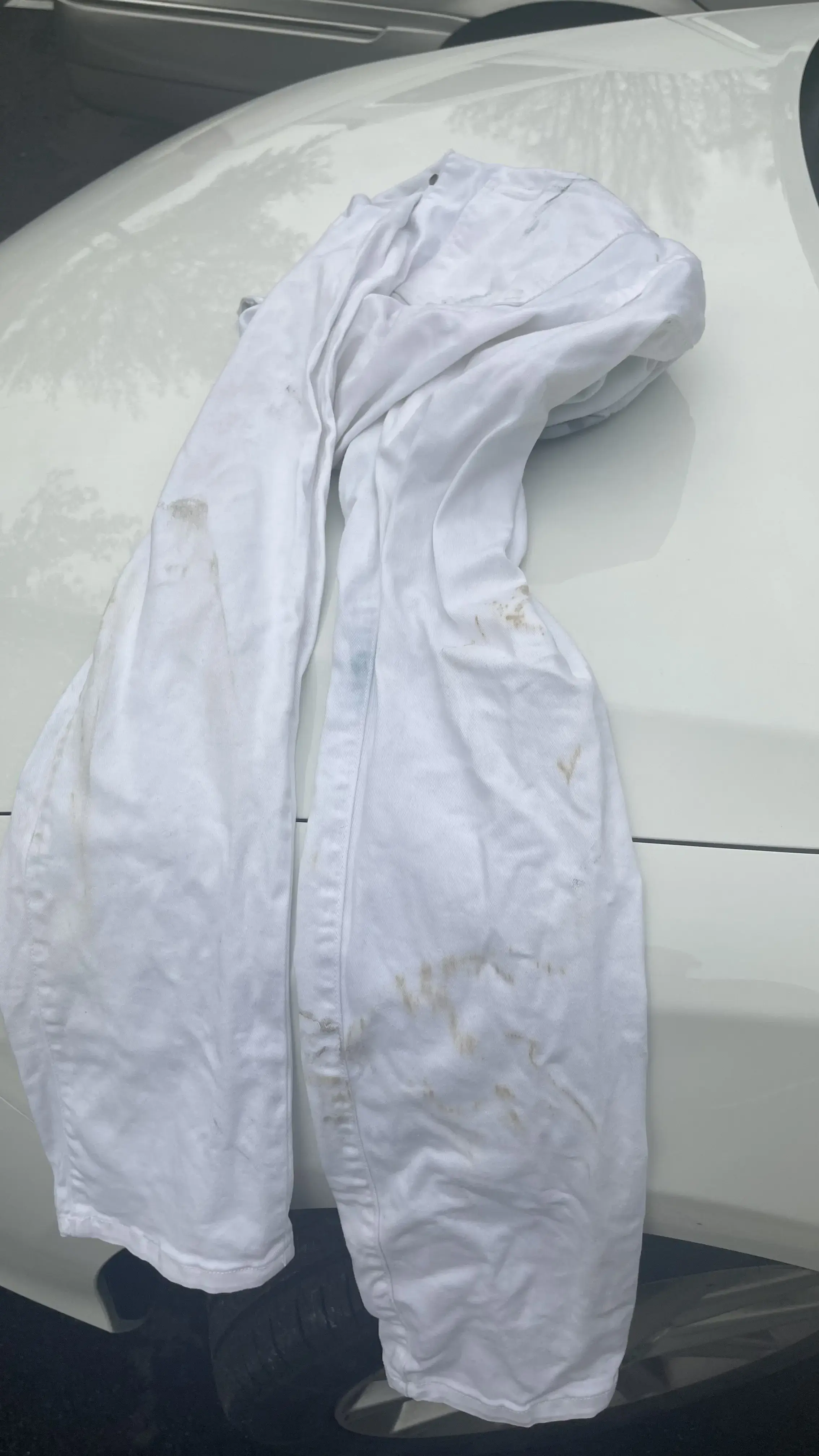 Mercury Valet Dry Cleaners - Image 7