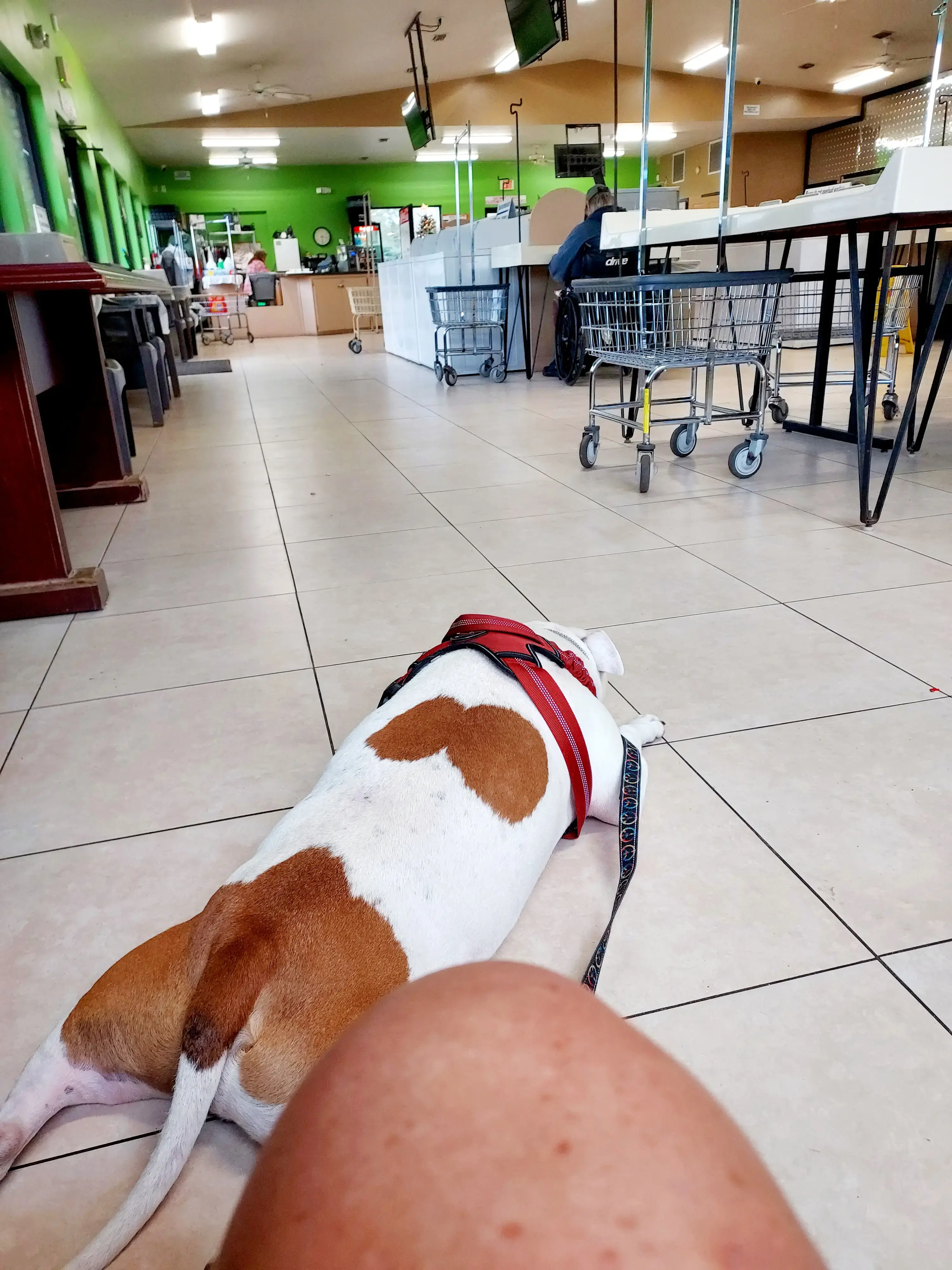 Michigan Square Laundromat thumbnail 4