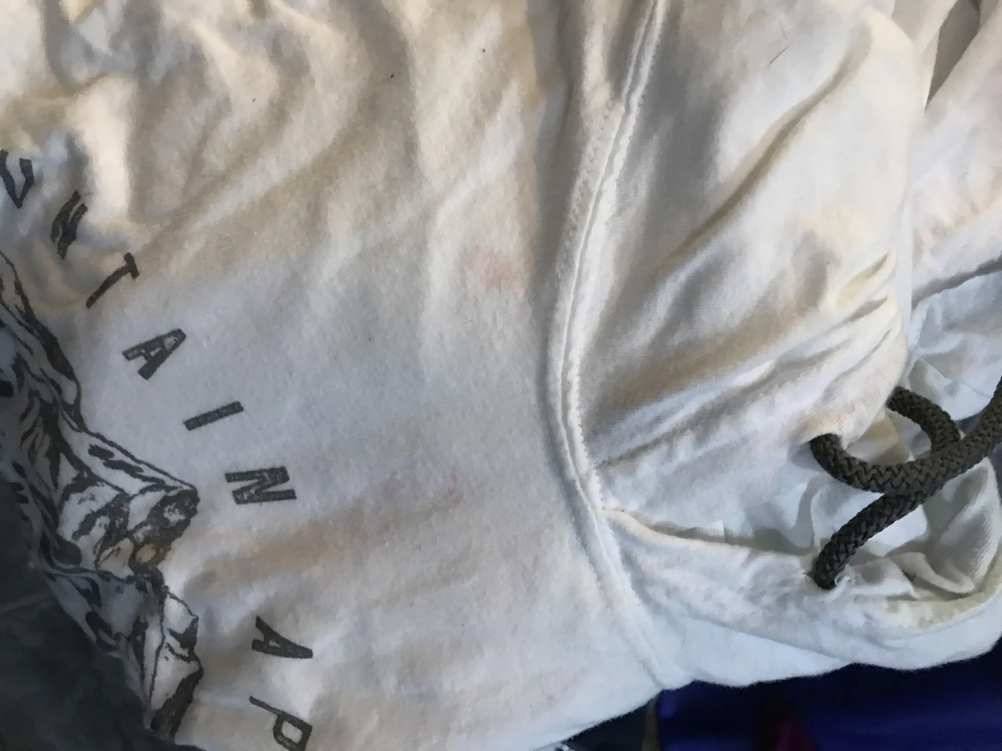 Miller's Cleaners thumbnail 2