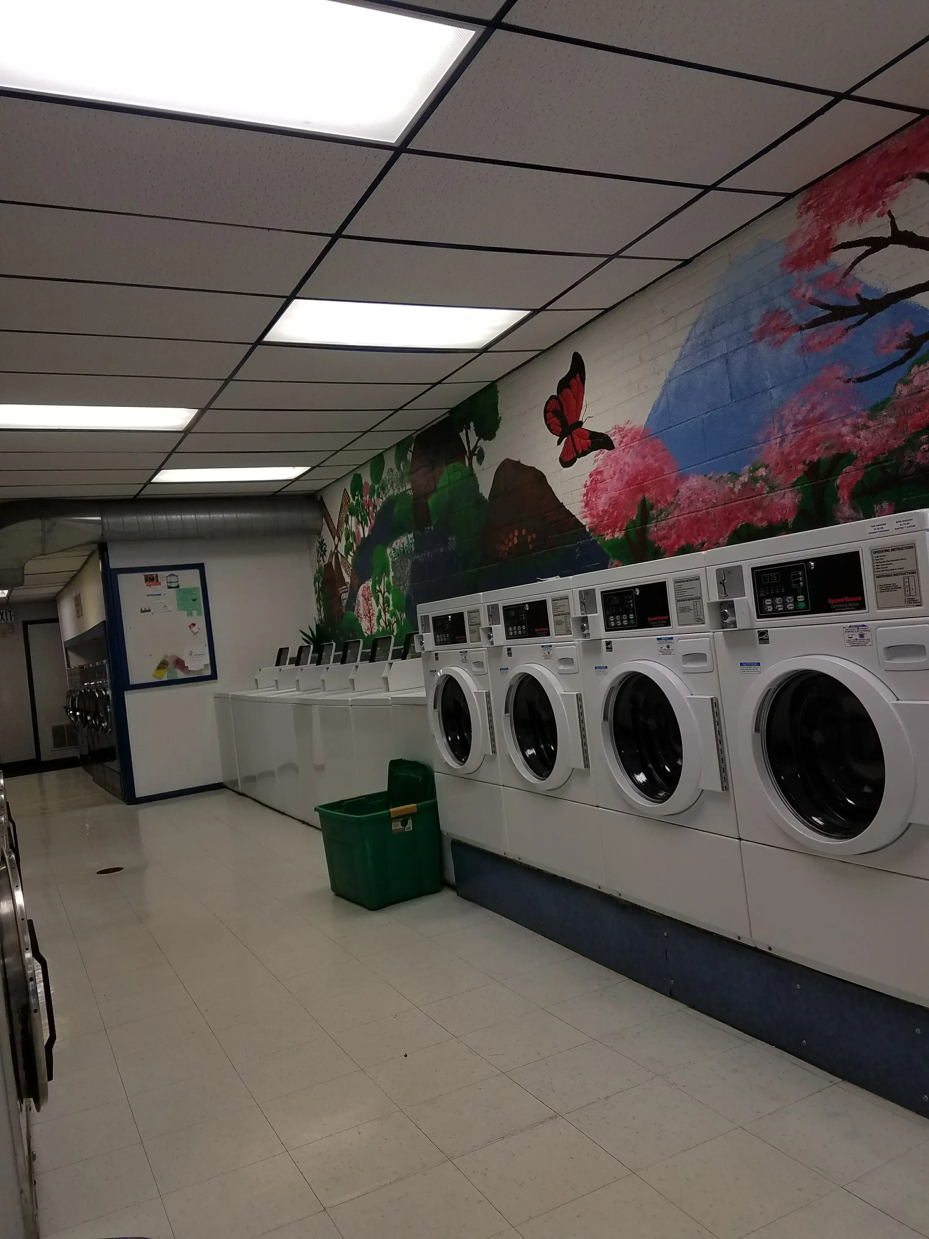 Millstream Coin Wash - Image 2