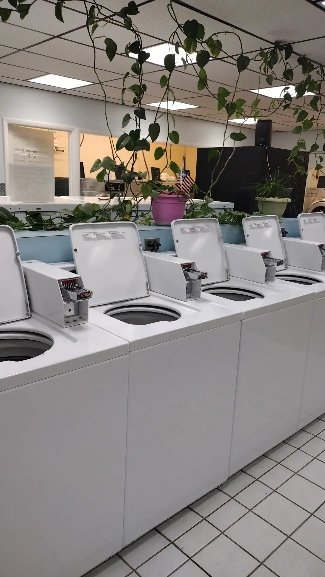 Millview Laundromat thumbnail 3