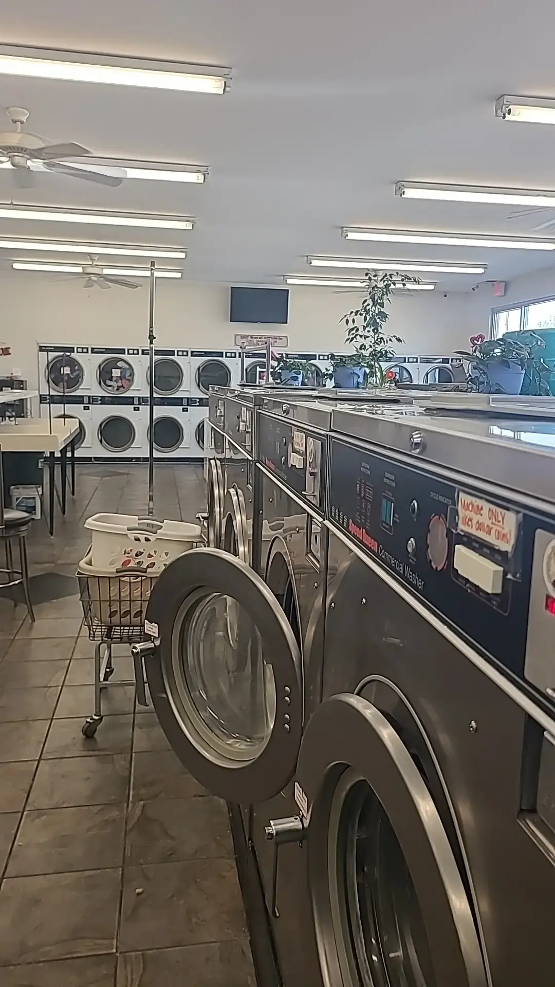 Miracle Mile Laundromat 🥋 - Image 9