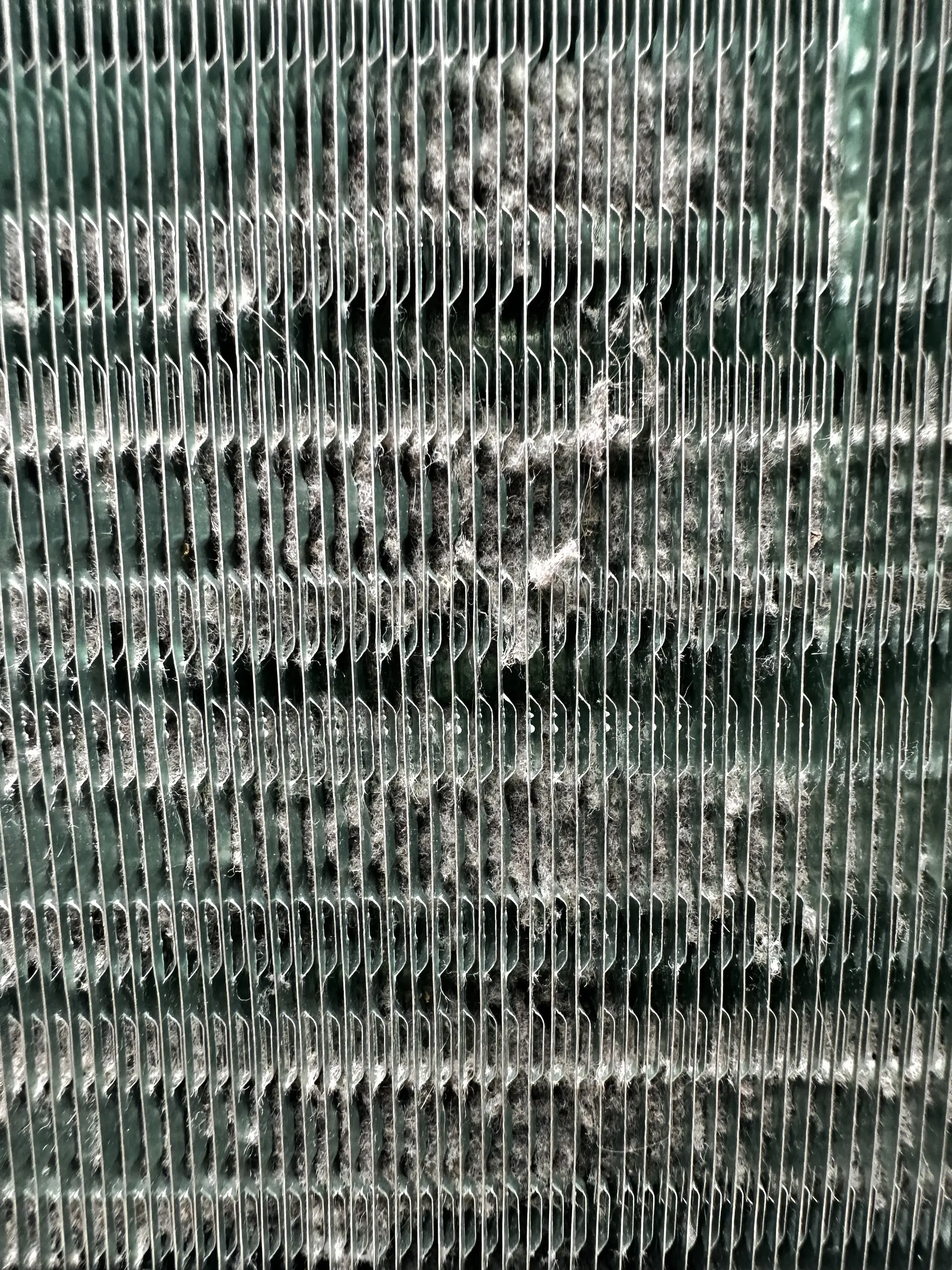 Miss Bubble Laundromat - Image 7