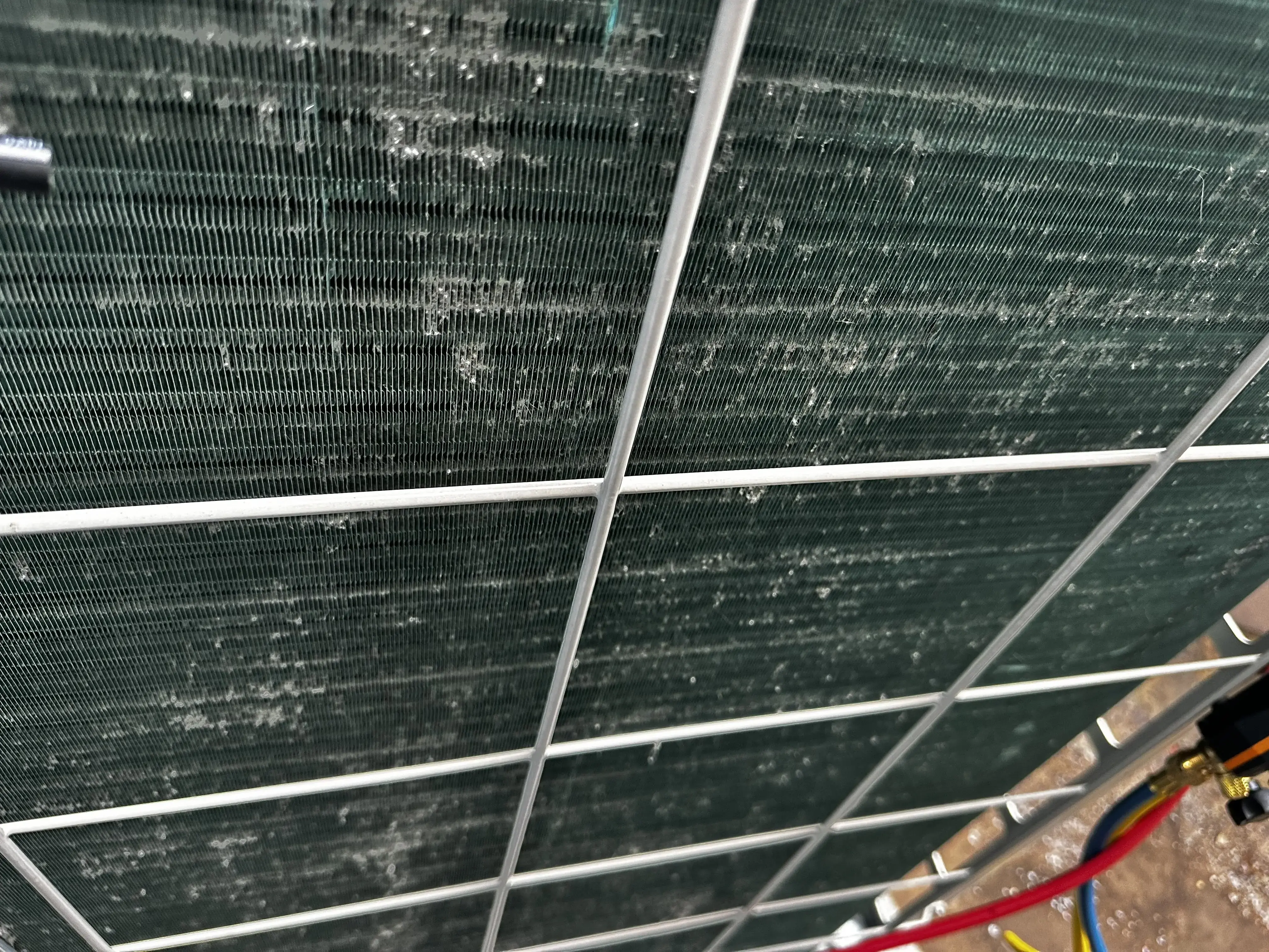 Miss Bubble Laundromat - Image 8