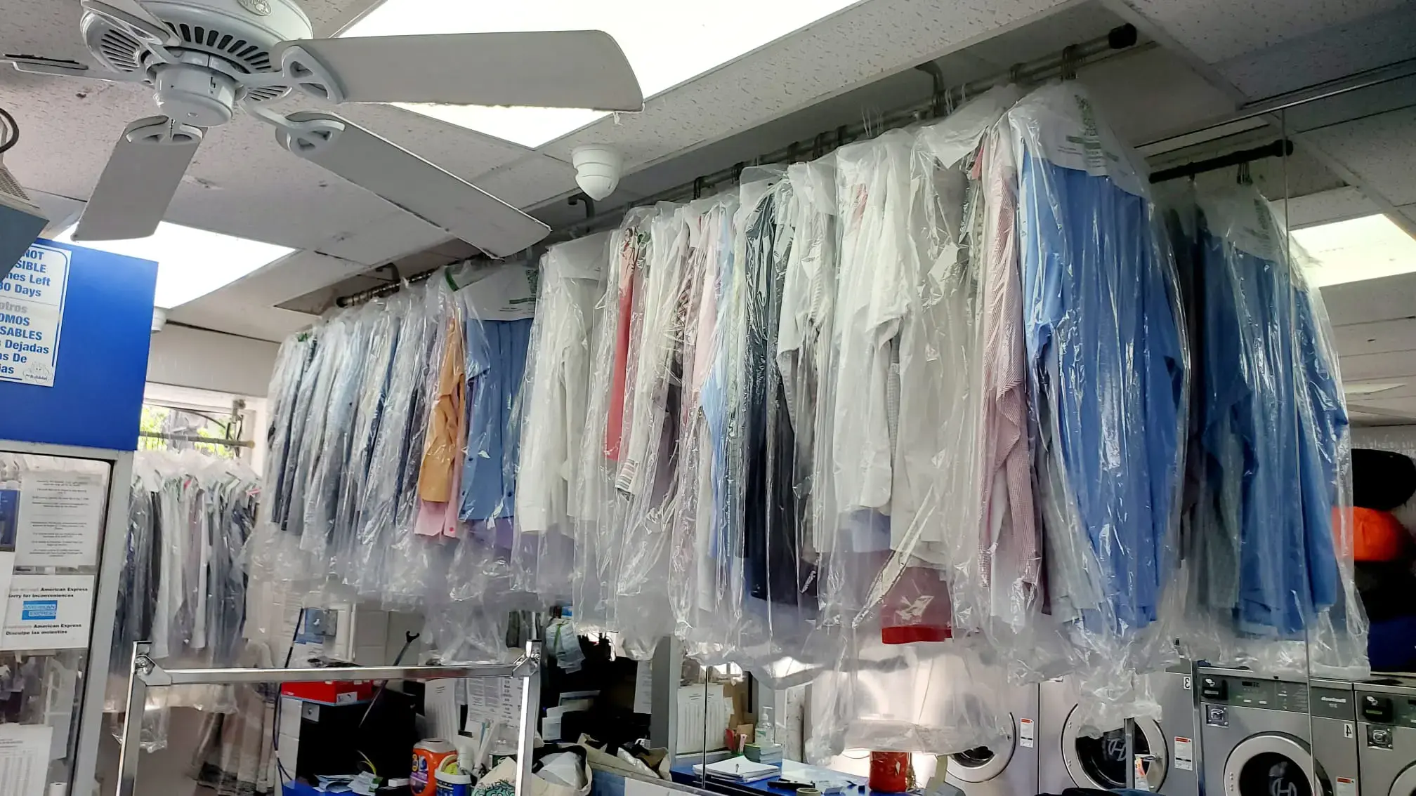 Miss Bubble Laundromat thumbnail 4