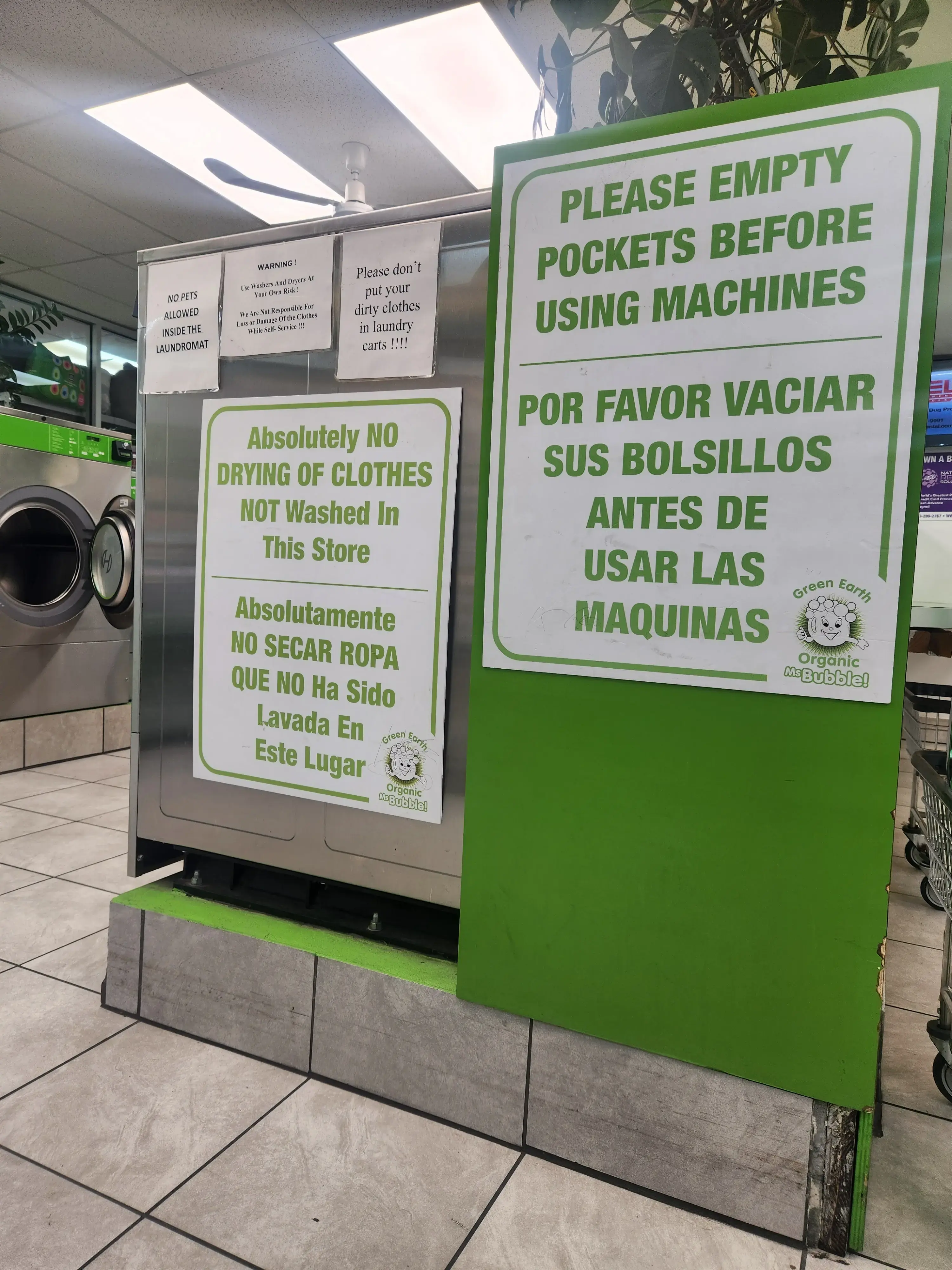 Miss Bubble Laundromat thumbnail 9