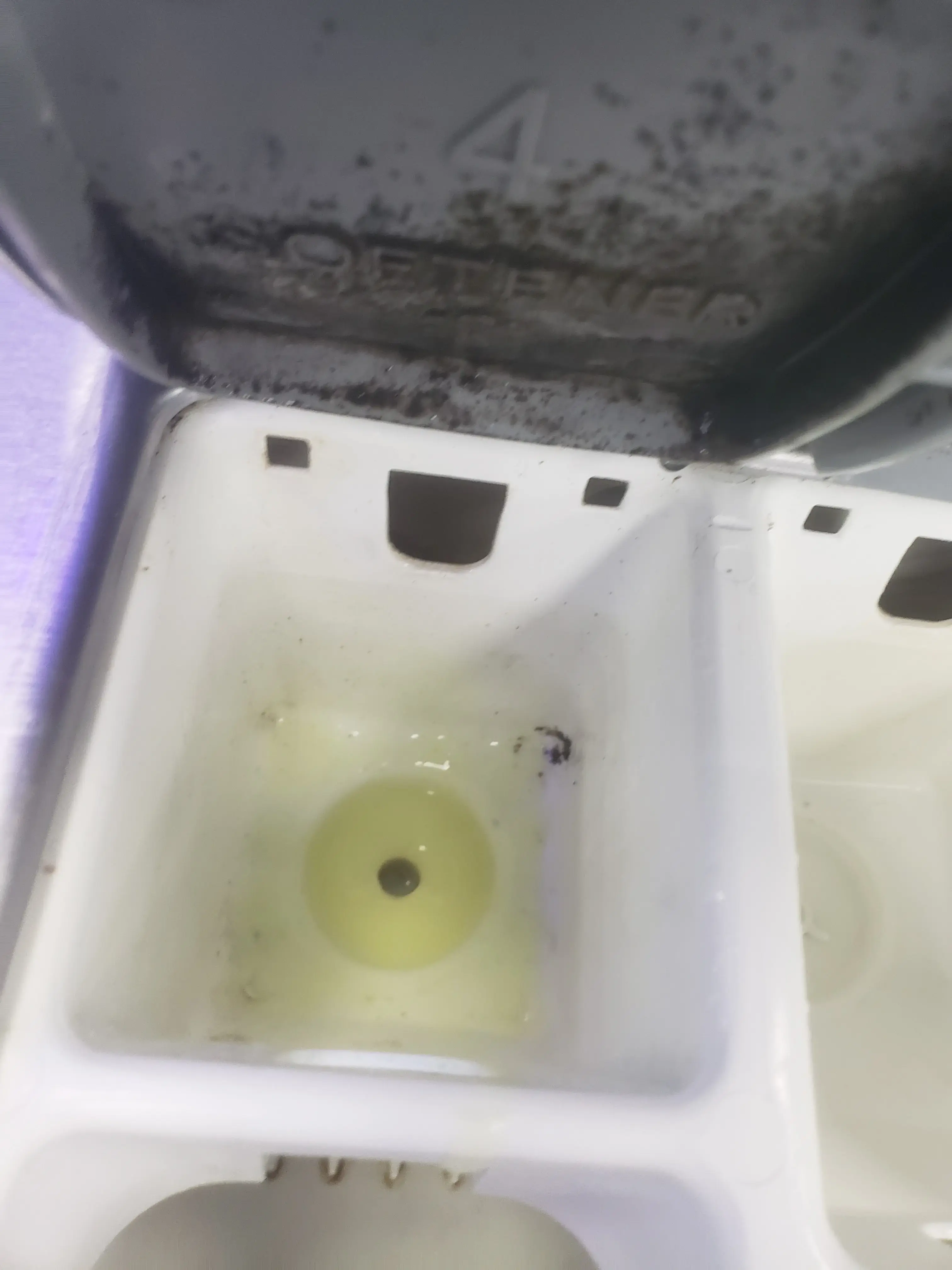 Miss Bubble Laundromat - Image 6