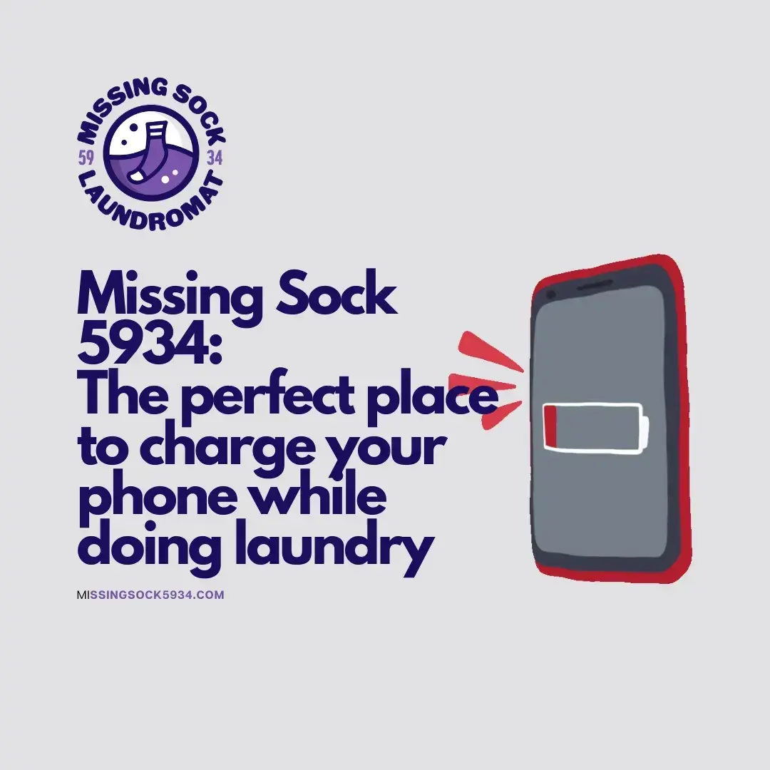 Missing Sock 5934 Laundromat thumbnail 13