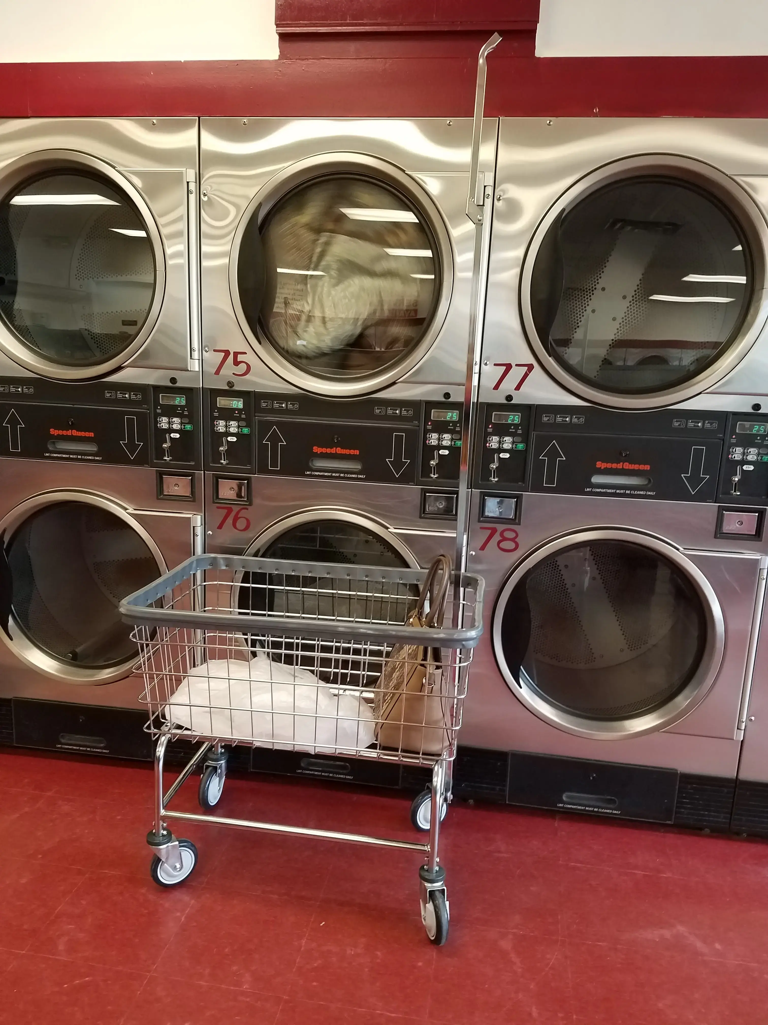 Missing Sock Coin Laundry thumbnail 17