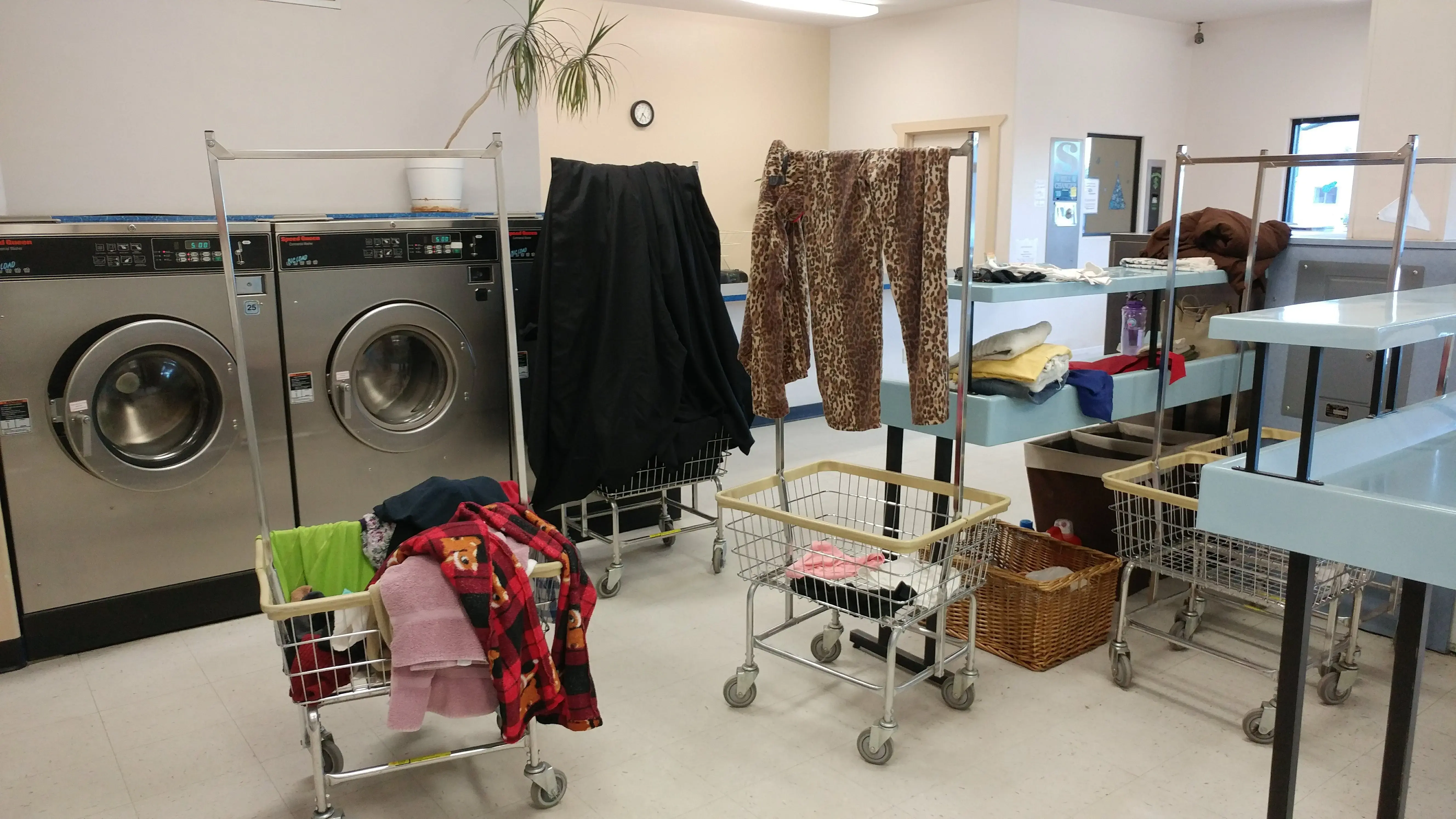 Missing Sock Laundromat thumbnail 11