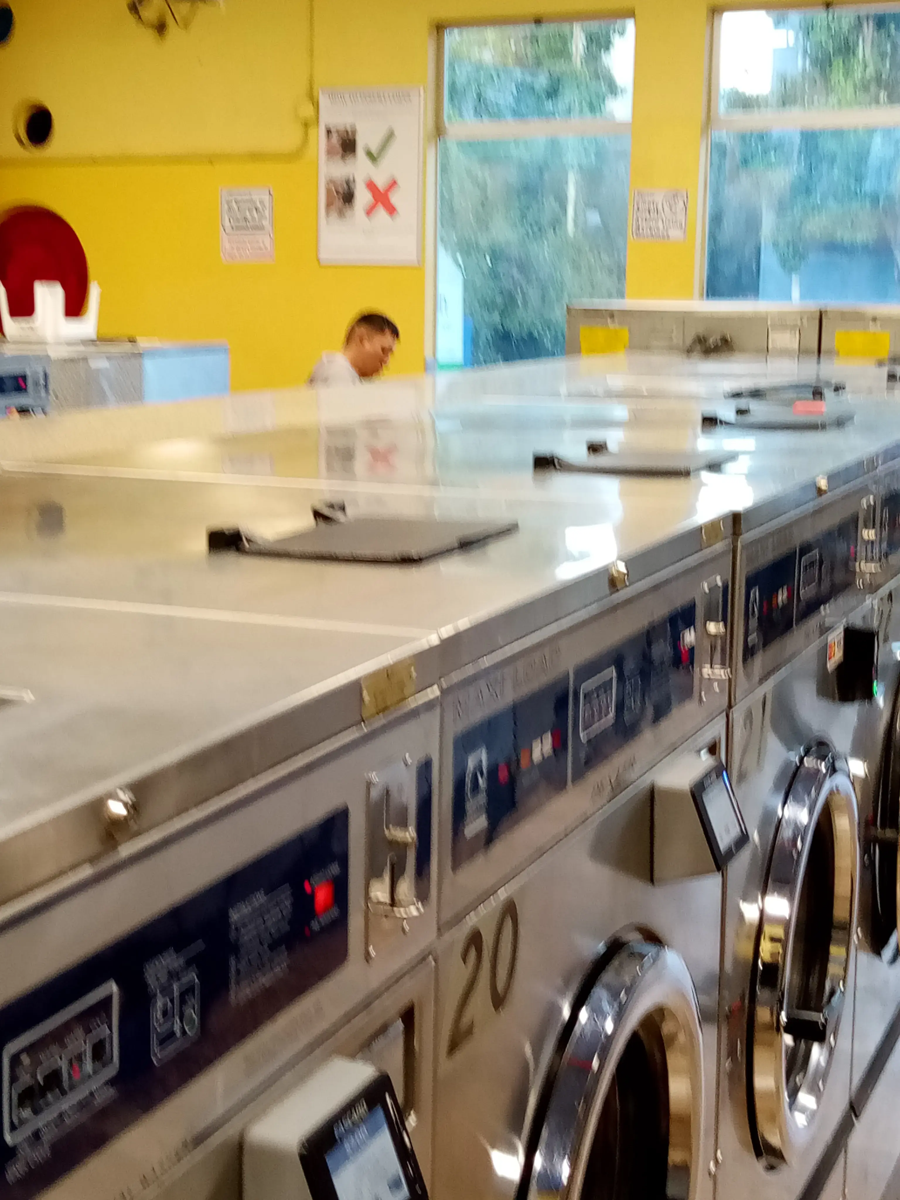 Mission Fiesta Laundry - Image 10