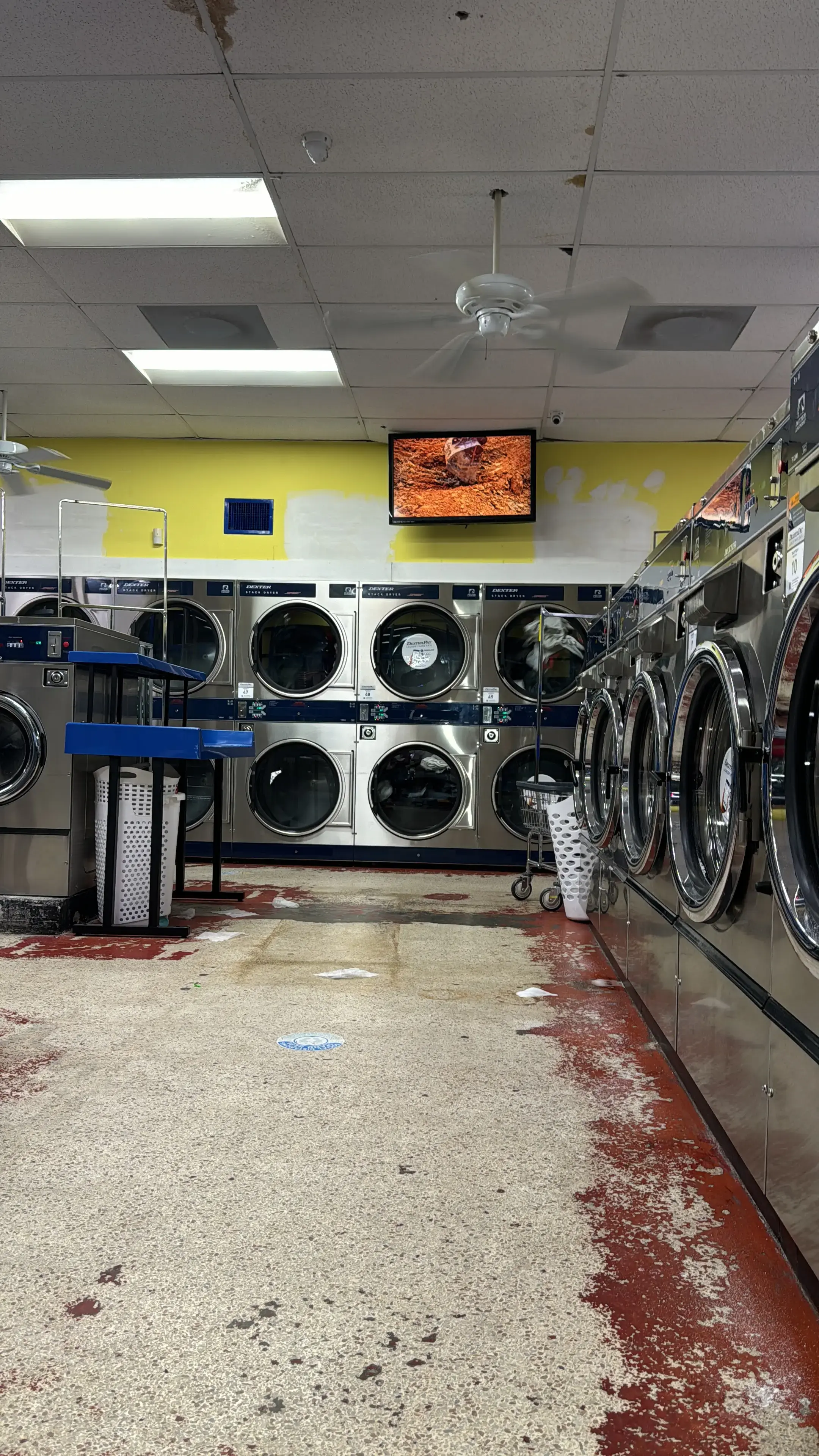 Mona Lisa Coin Laundry location