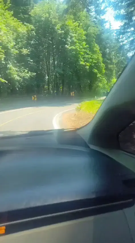 Monmouth Laundromat - Image 20