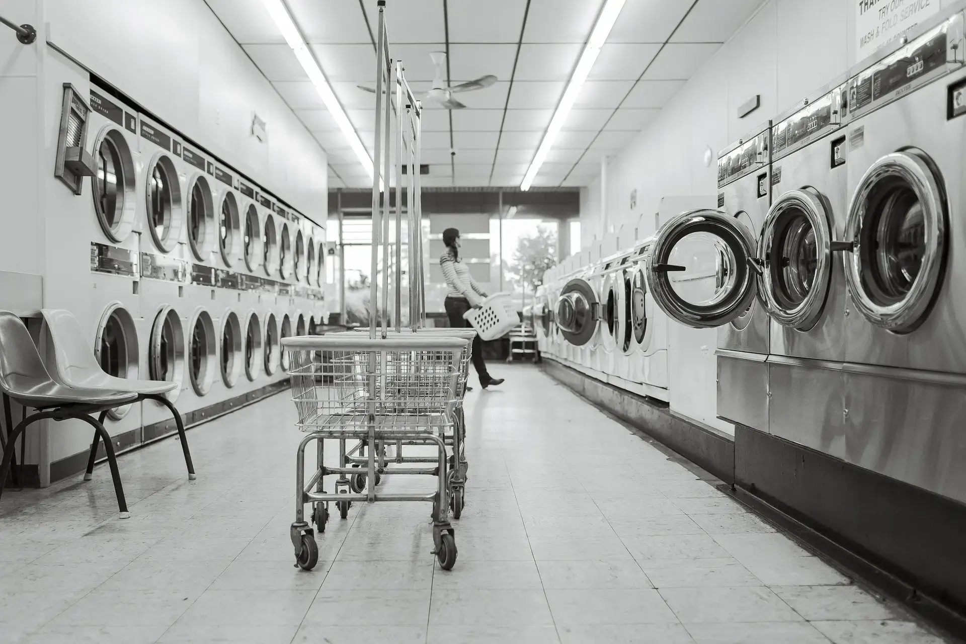 Monterey Cleaners thumbnail 15