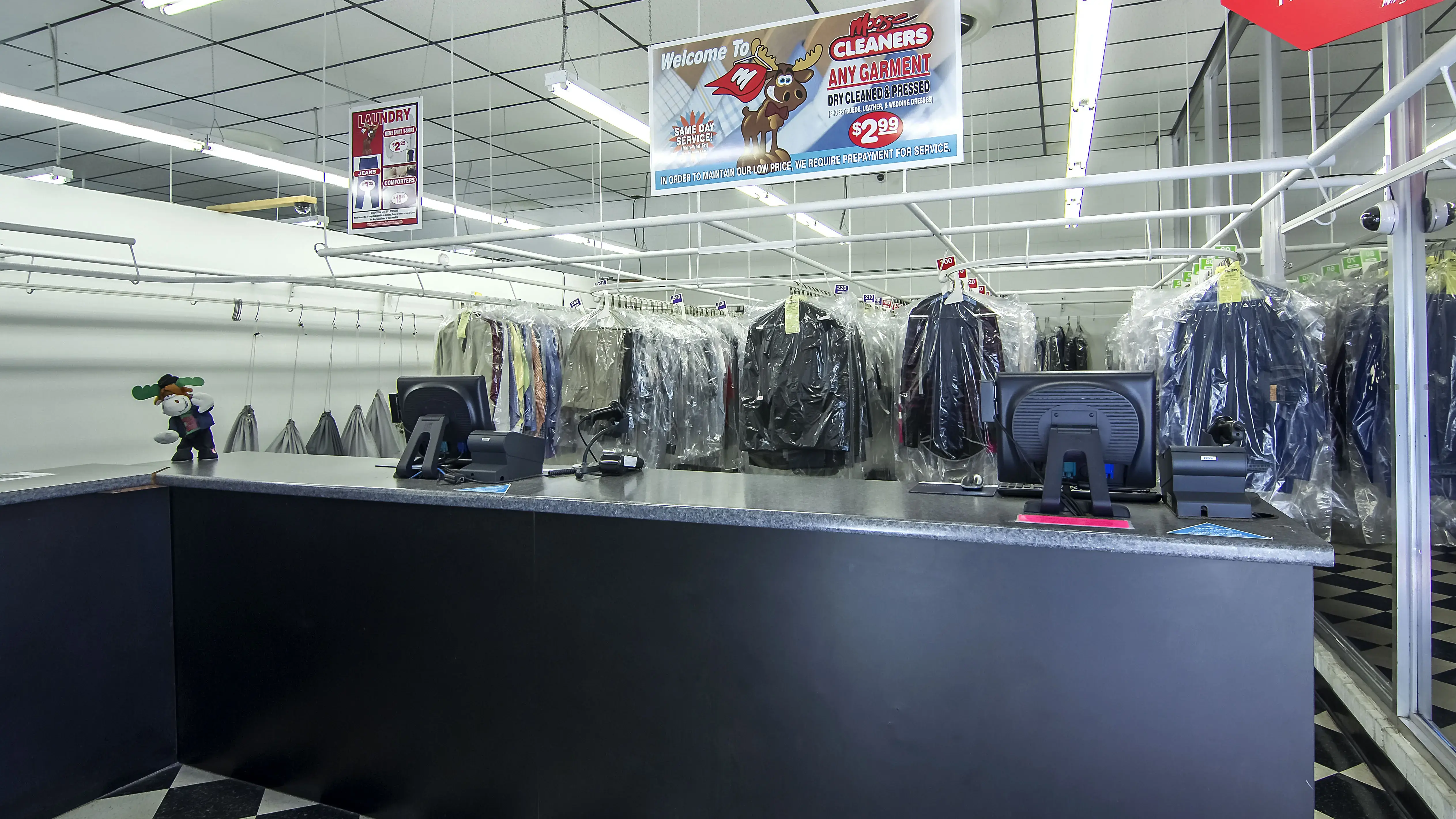 Moose Cleaners - Image 13