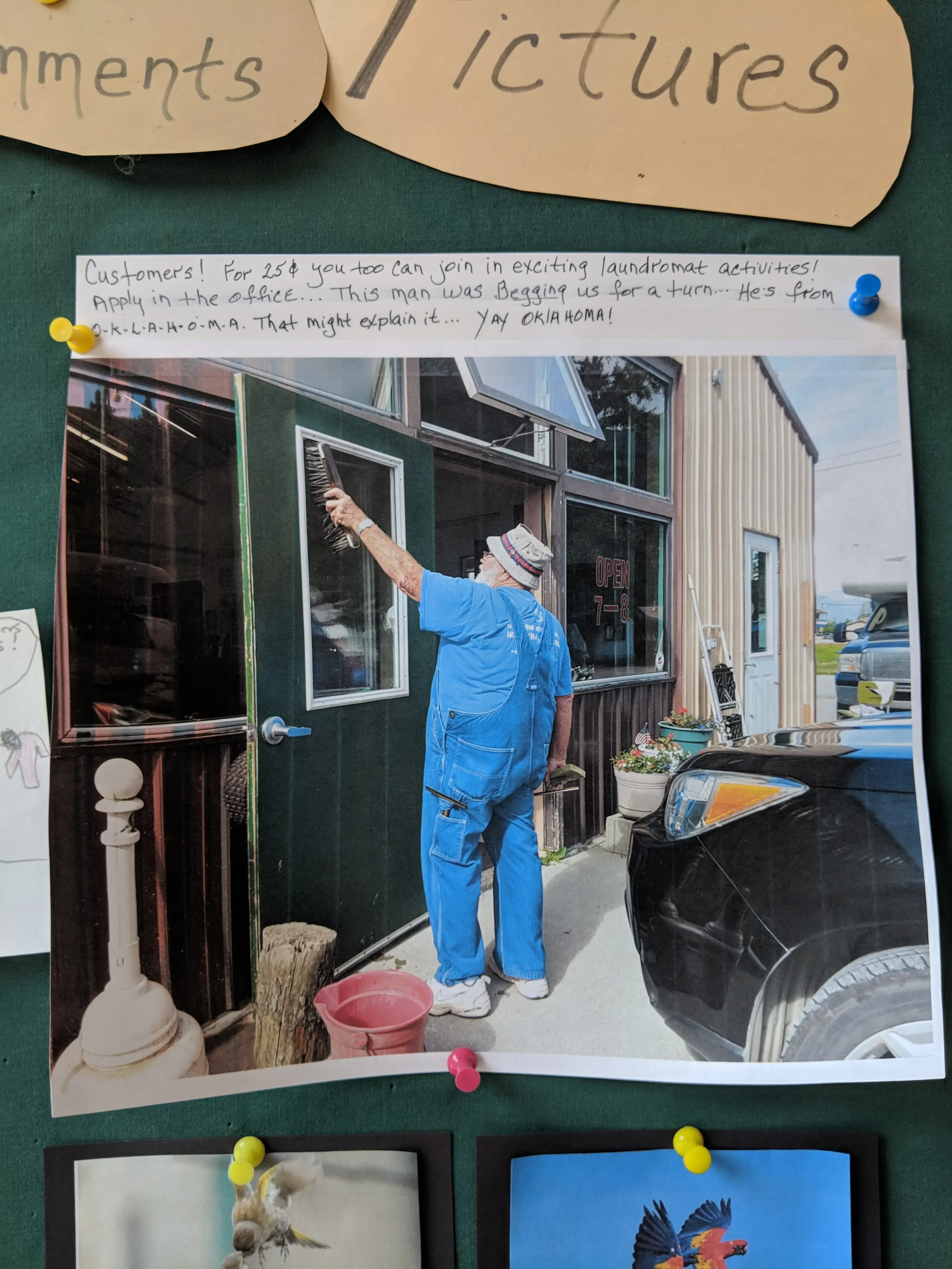 Moose Horn Cafe & Laundromat thumbnail 6