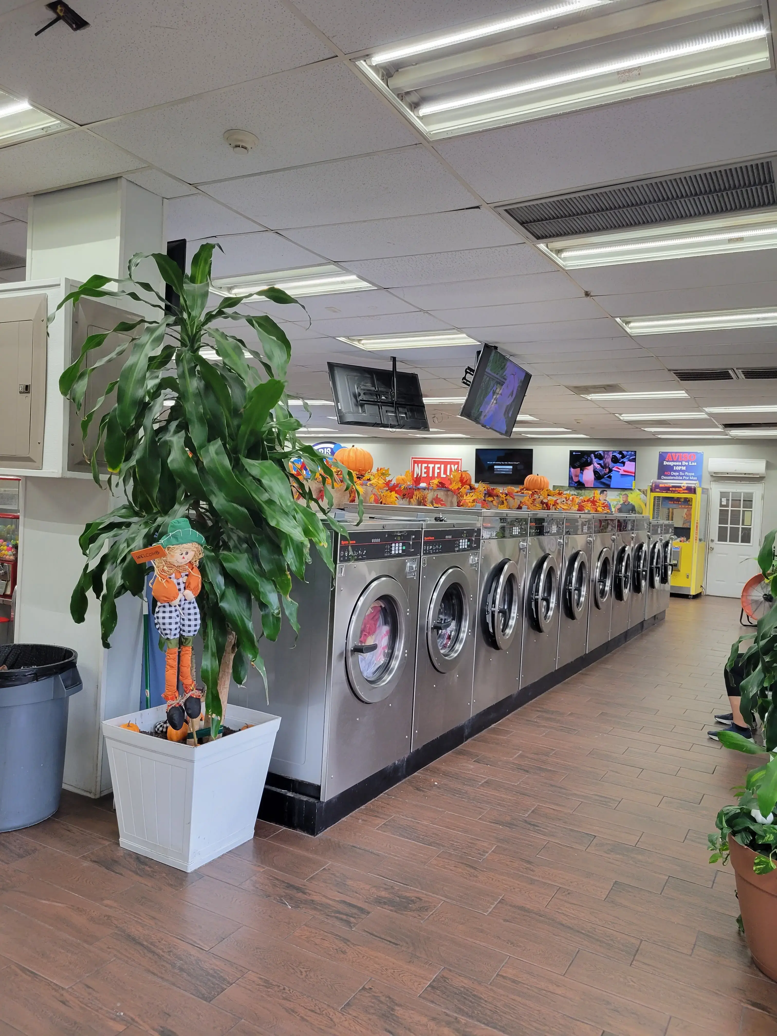 Morris Family Laundry - Image 3
