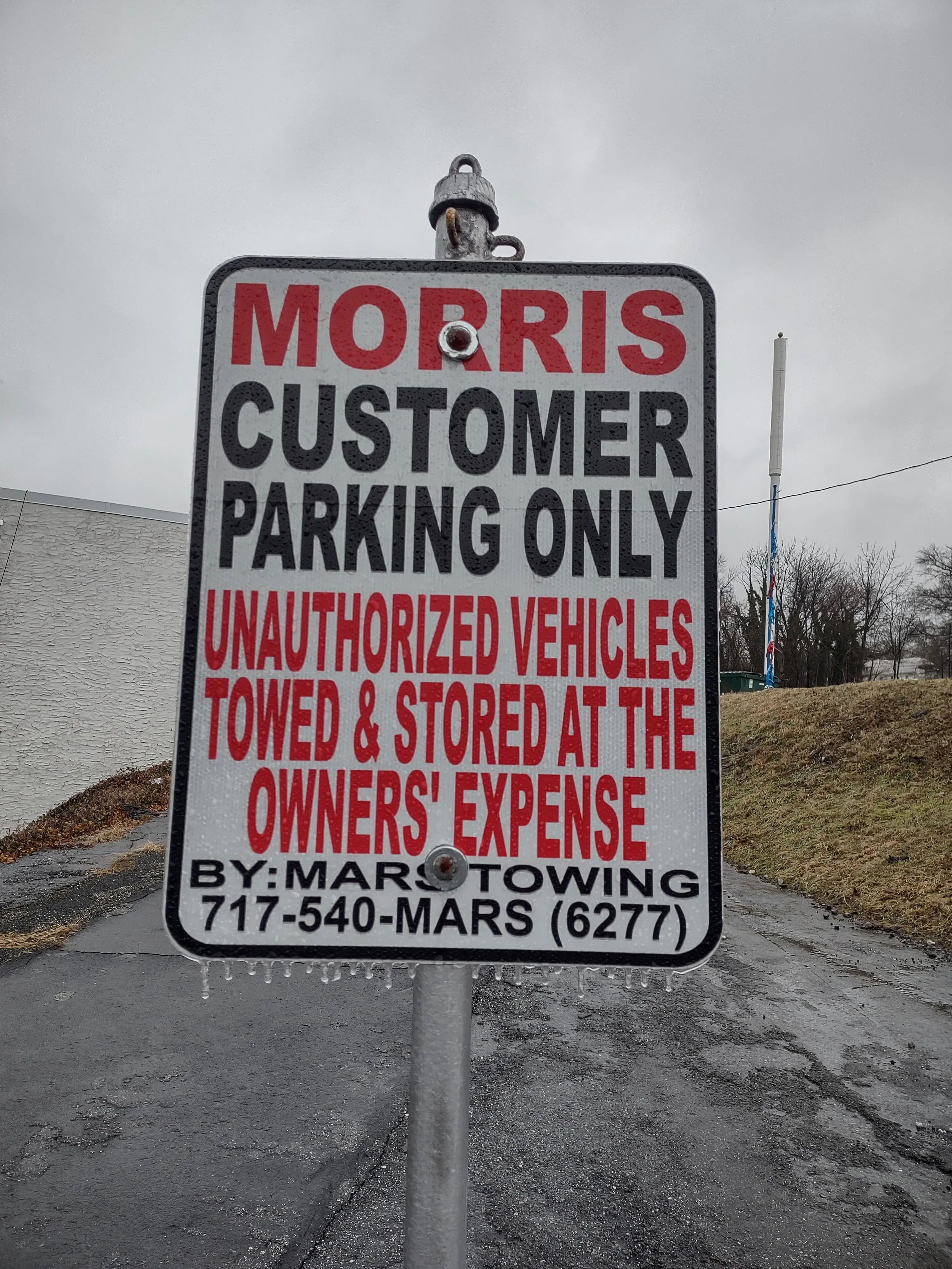 Morris Laundromation thumbnail 13