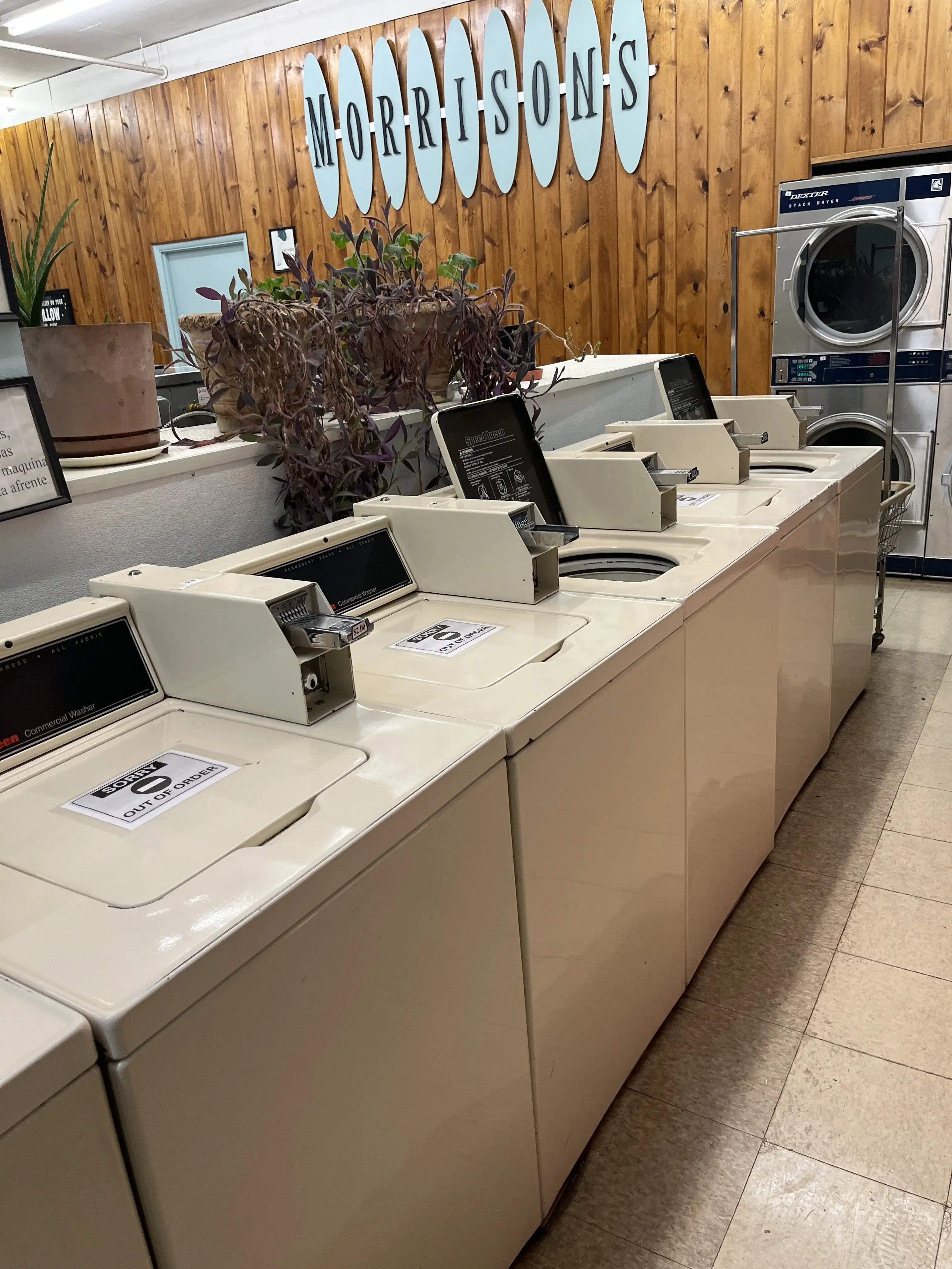 Morrison's Laundry & Cleaners thumbnail 5