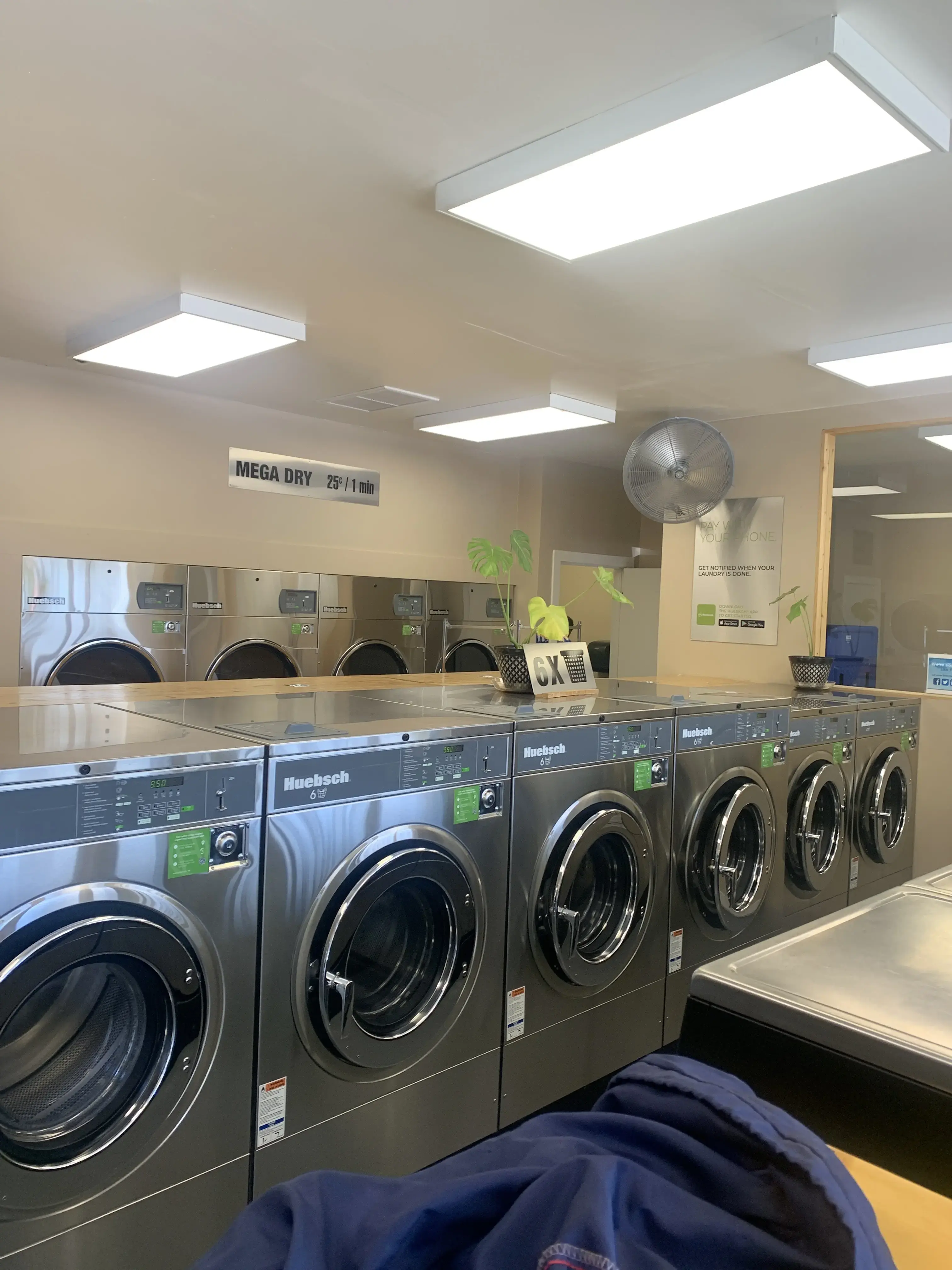 Mountain Fresh at Carnelian Bay Laundry thumbnail 7