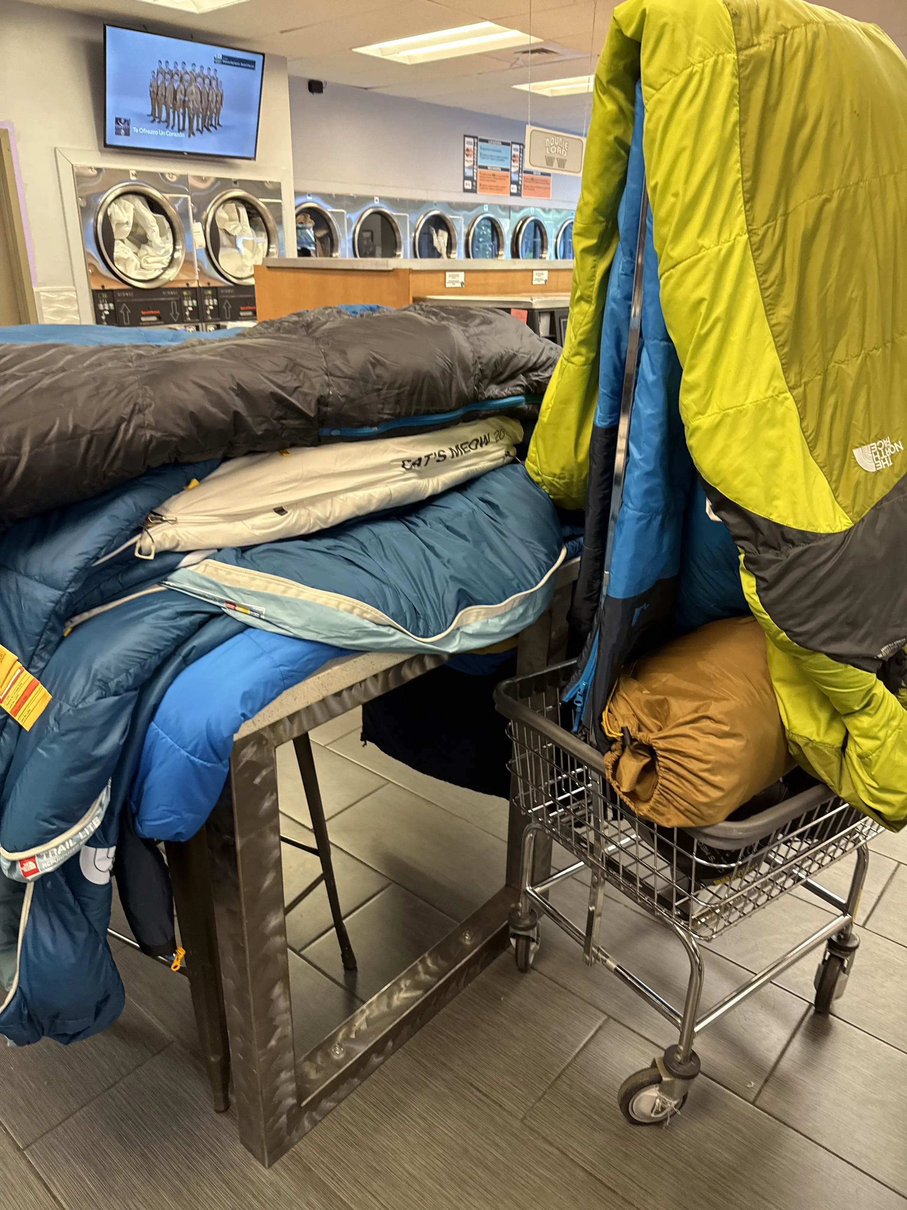 Mountain Fresh at Truckee Laundry thumbnail 6