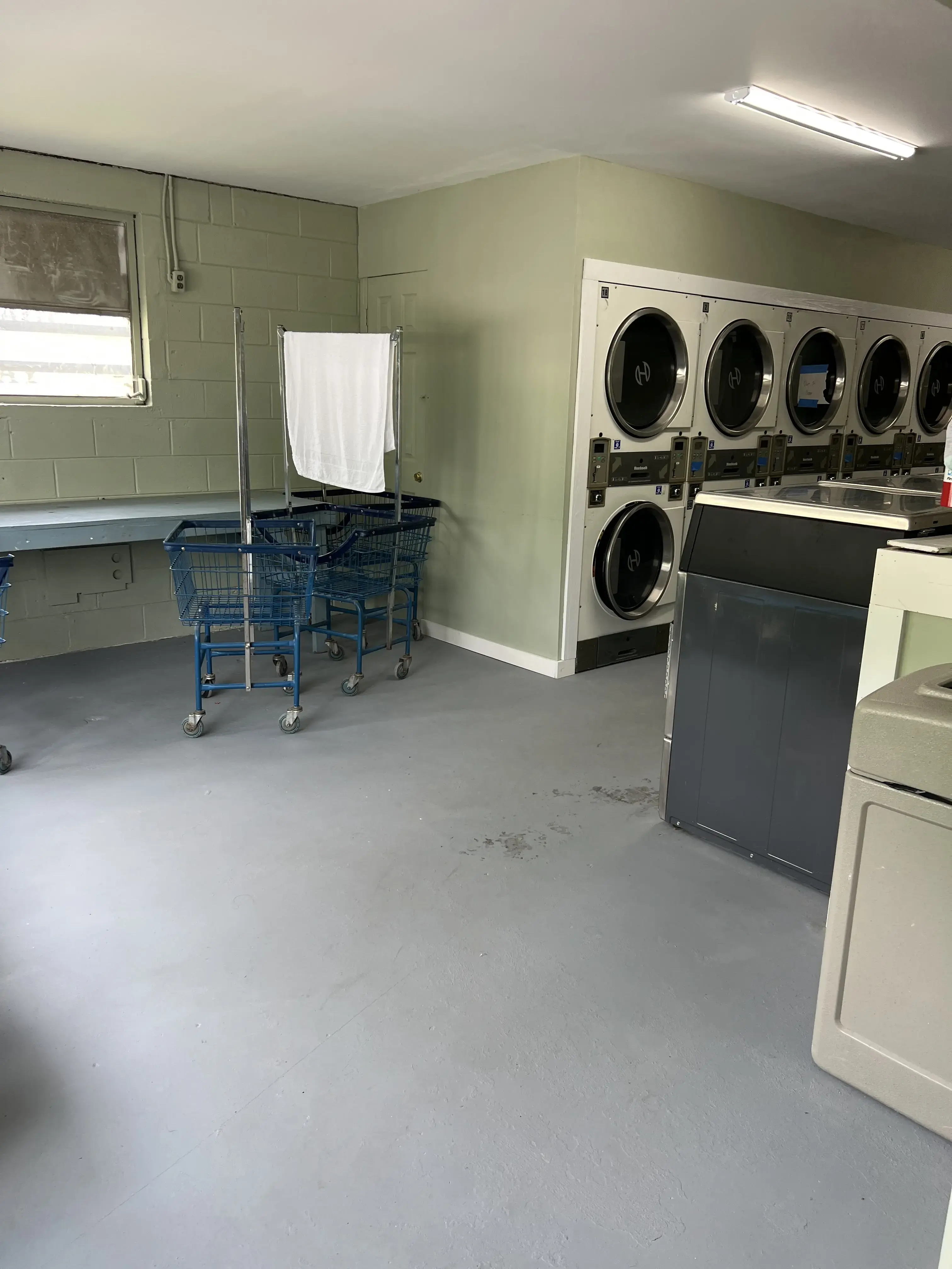 Mountain View Laundromat thumbnail 19