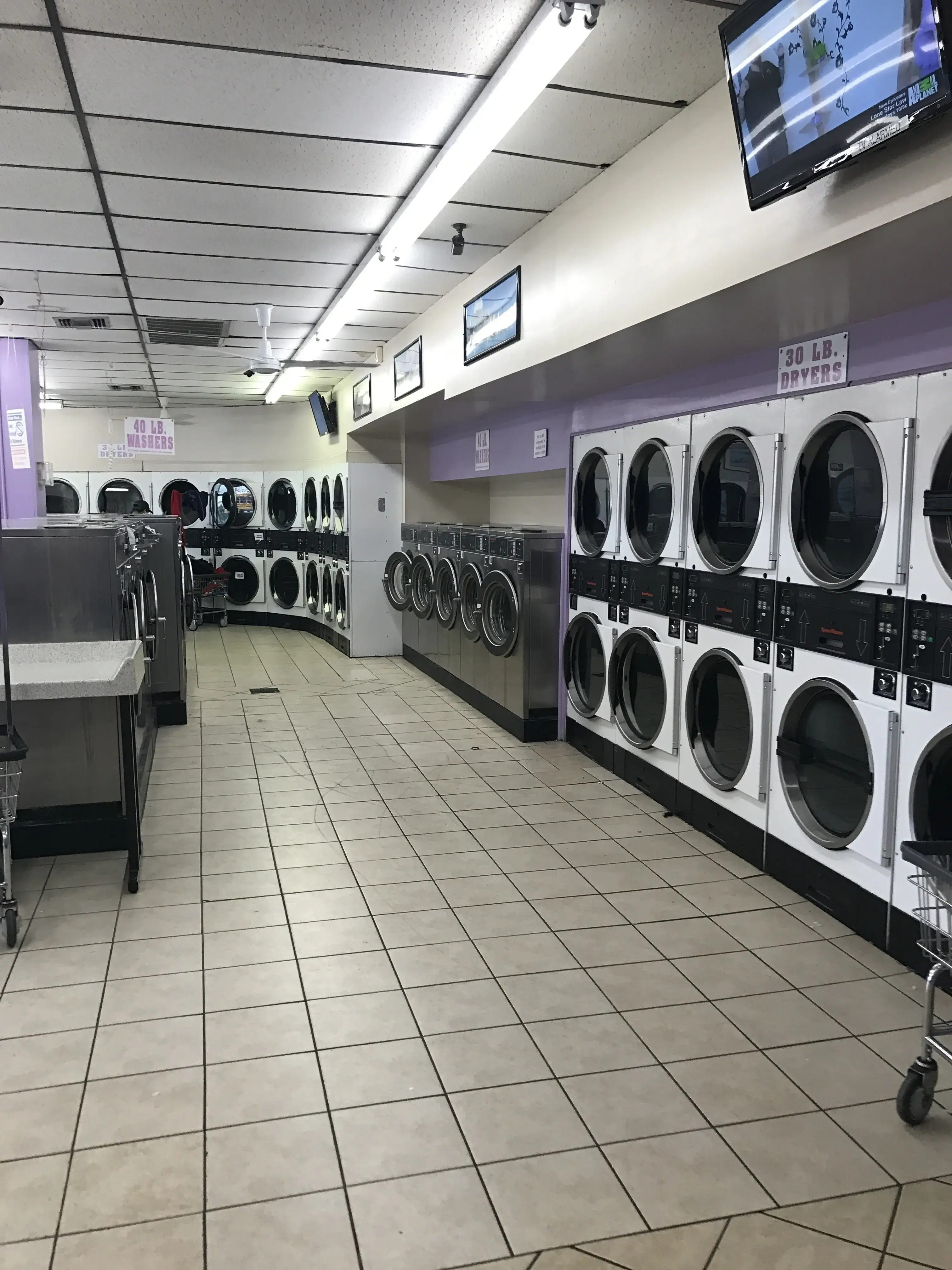Mr. Kleen location
