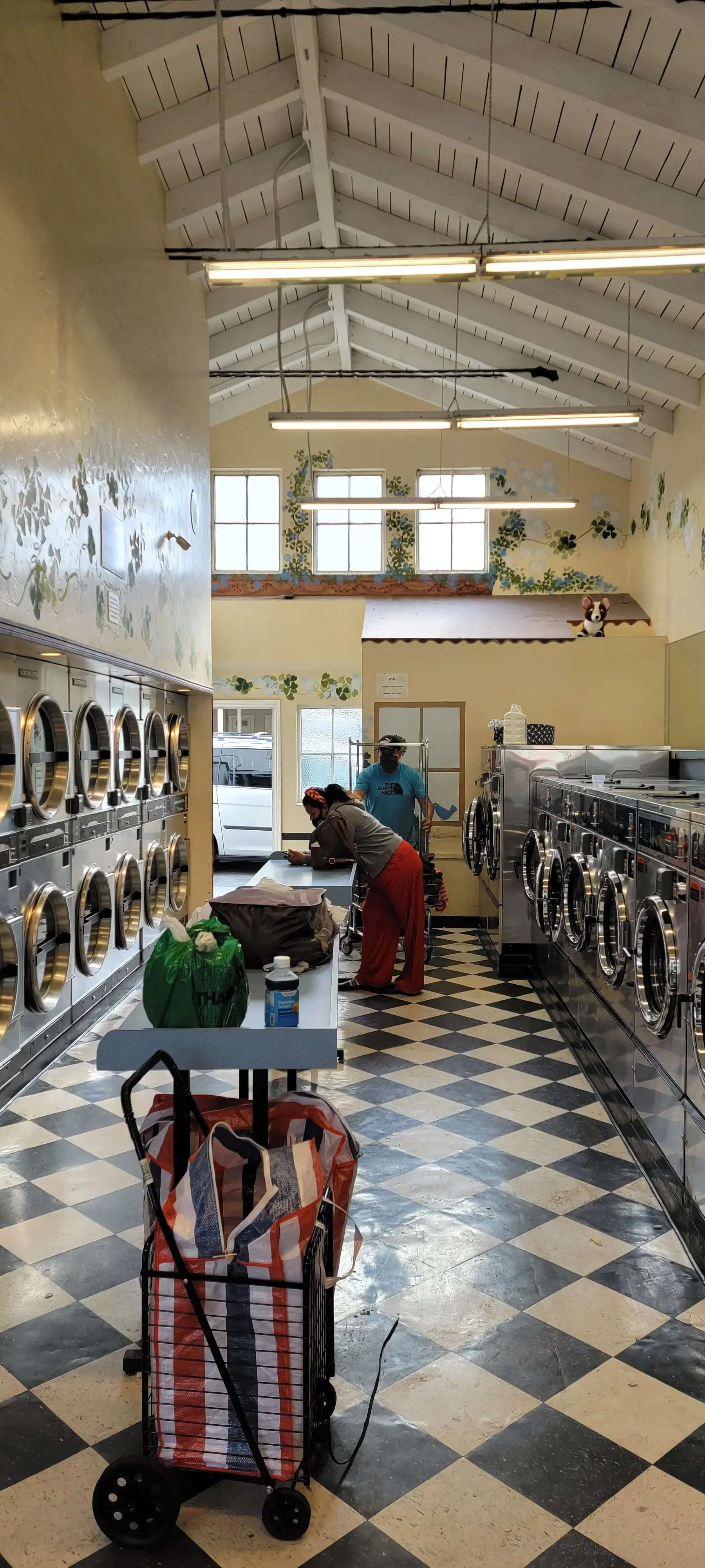 Mr & Ms Bubbles Coin Laundries - Image 6