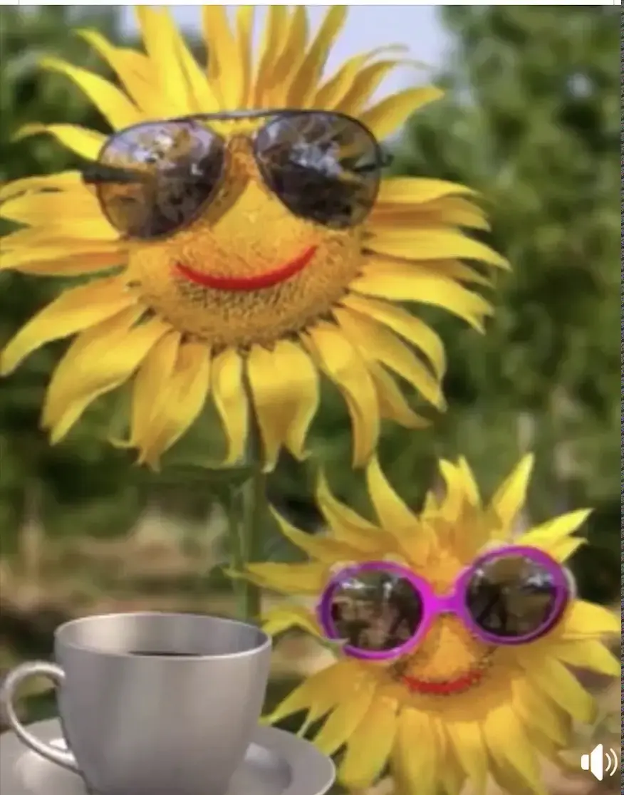 Mr. Sudsy Laundromat thumbnail 5