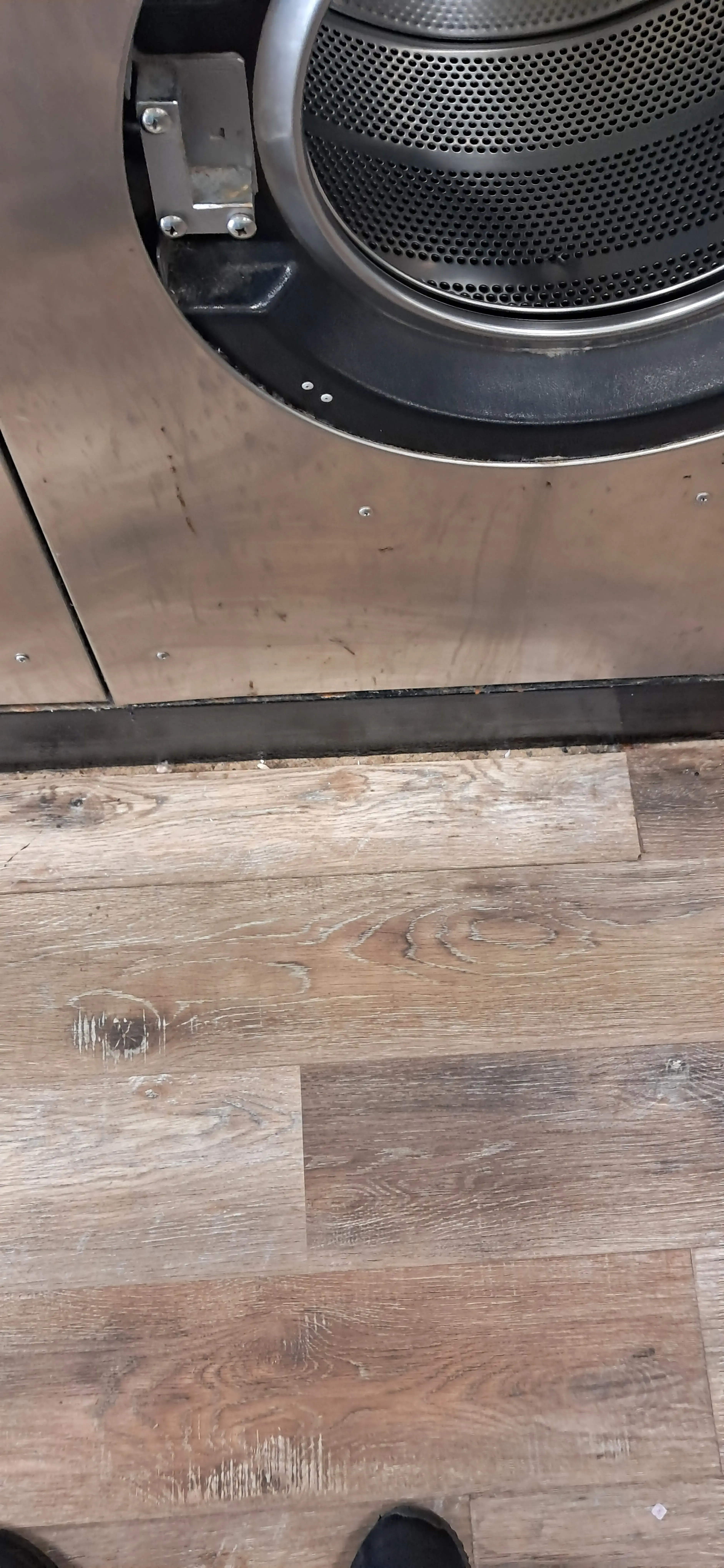 Mr. Washy's thumbnail 9