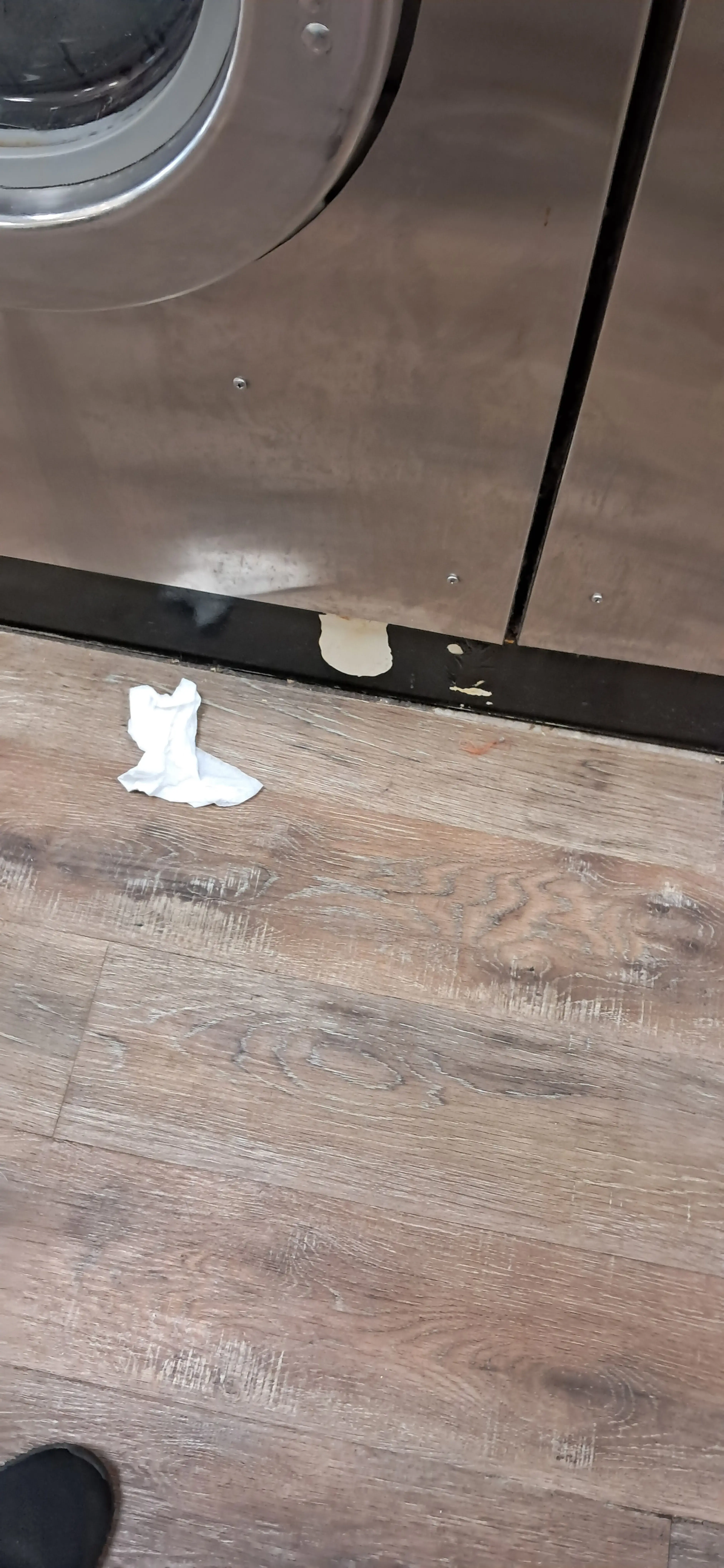 Mr. Washy's thumbnail 20