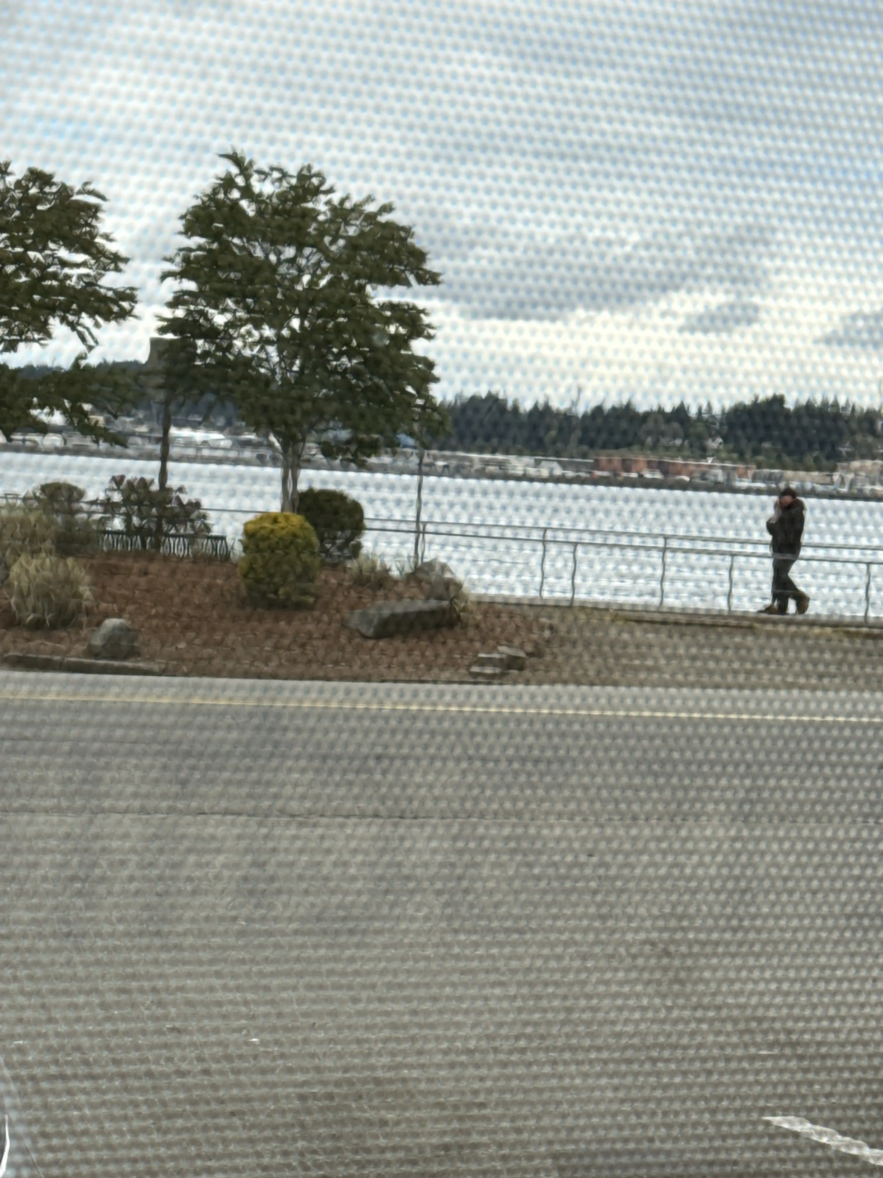 Mrs. Sparkles Laundry thumbnail 6