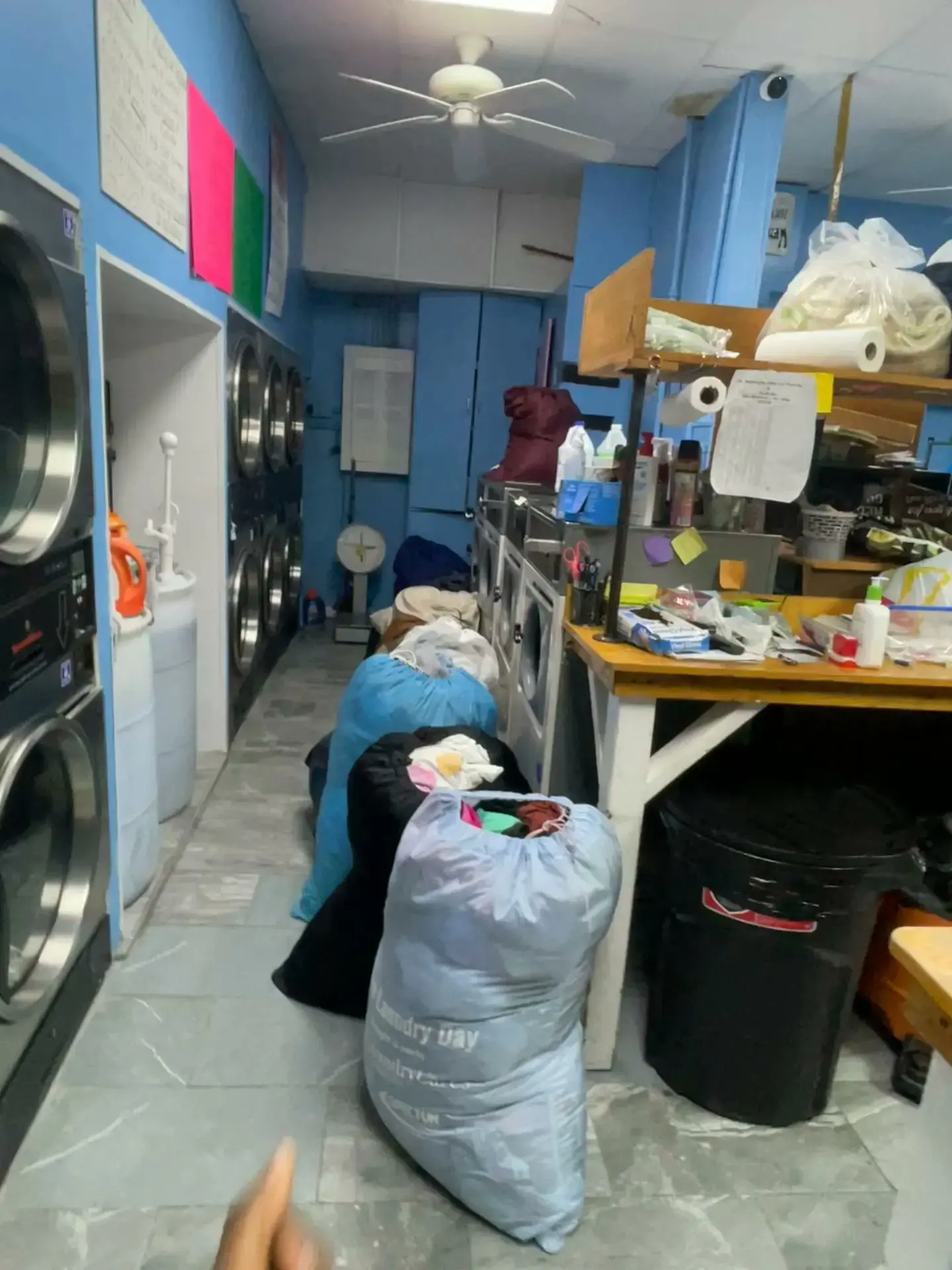 Ms. Babbling Bubbles Laundromat thumbnail 14