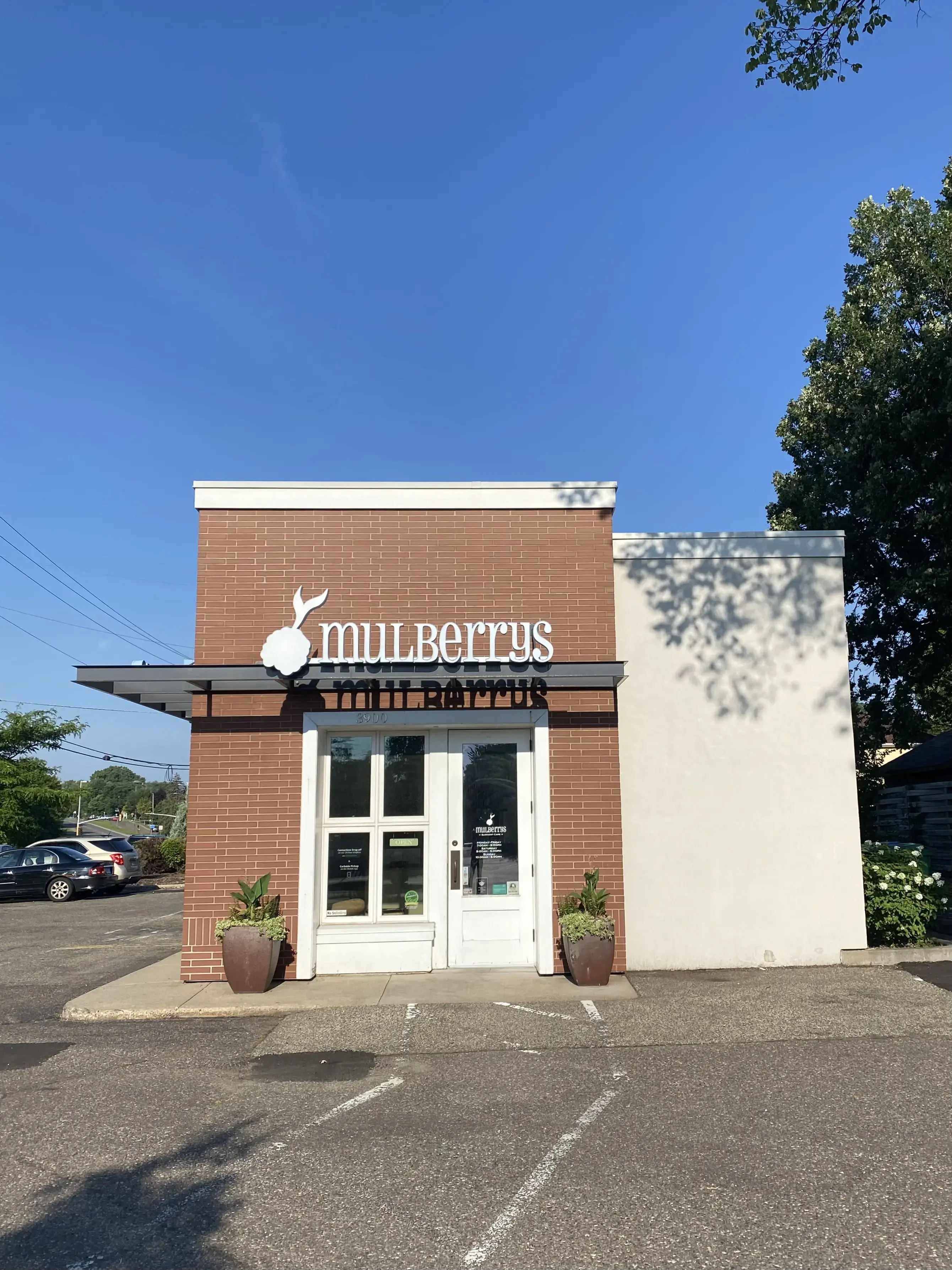 Mulberrys Dry Cleaners and Laundry - Image 2
