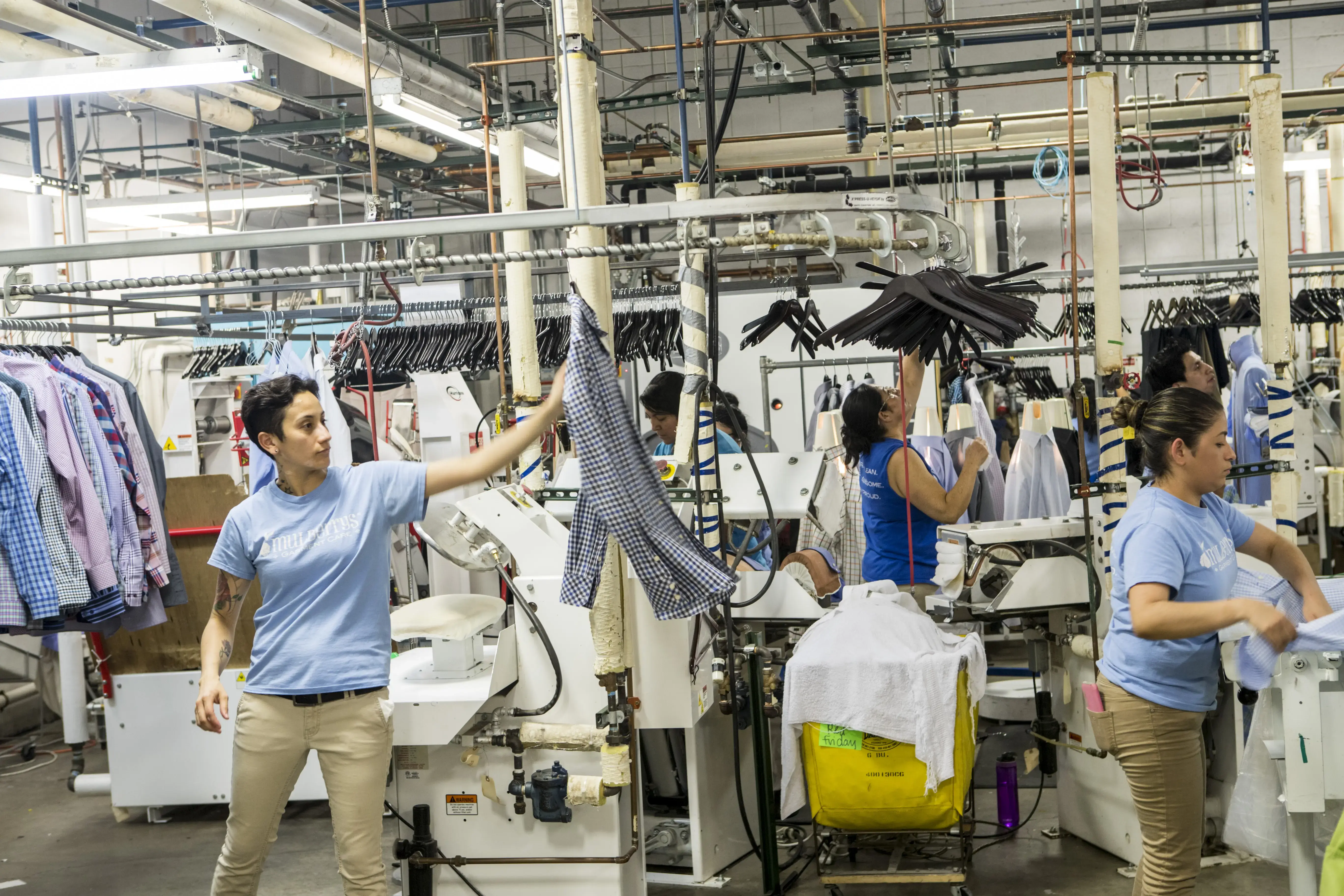 Mulberrys Dry Cleaners and Laundry thumbnail 4