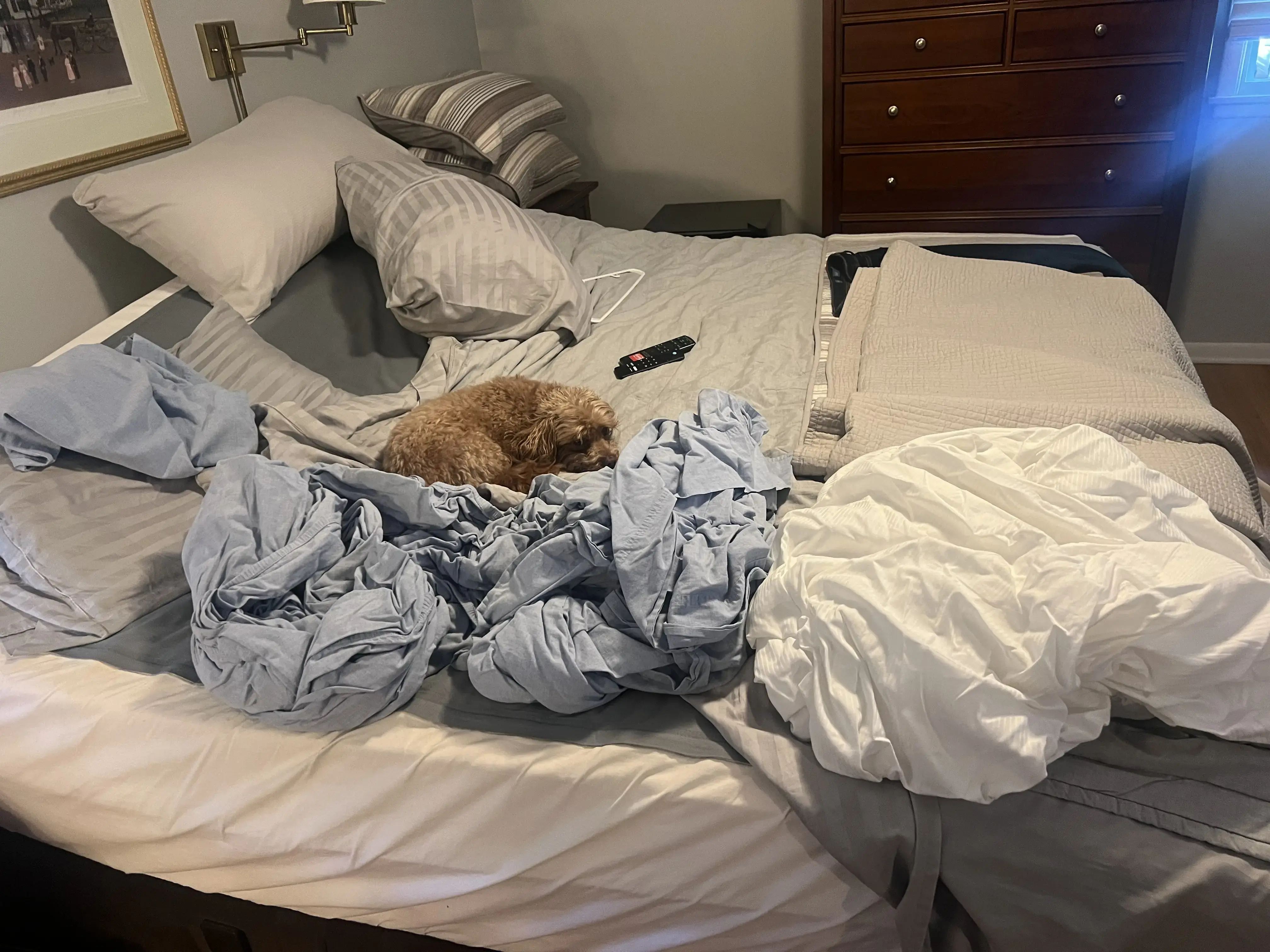 Mulberrys Dry Cleaners and Laundry - Image 14